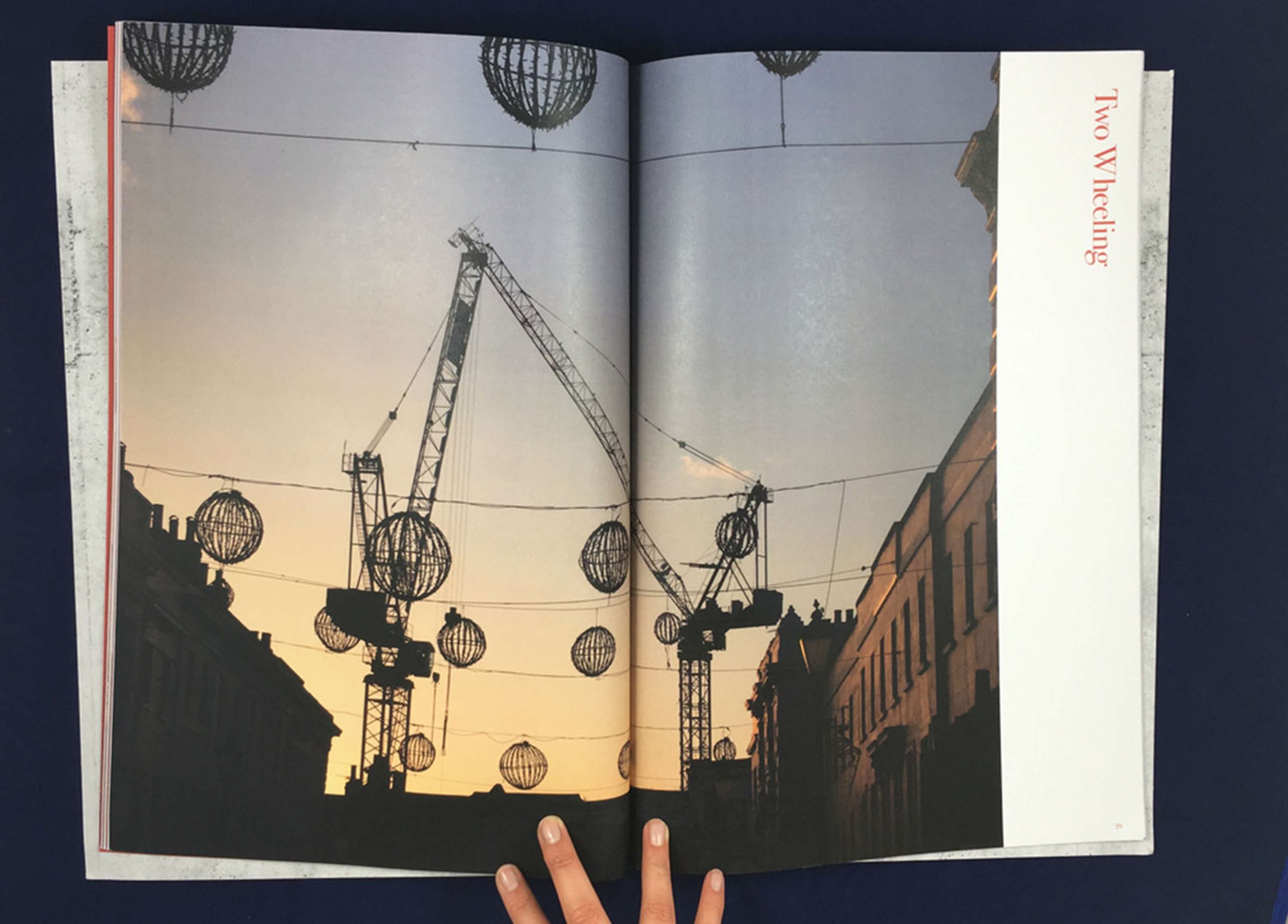 Commuting With Cranes by Marie O'Shepherd