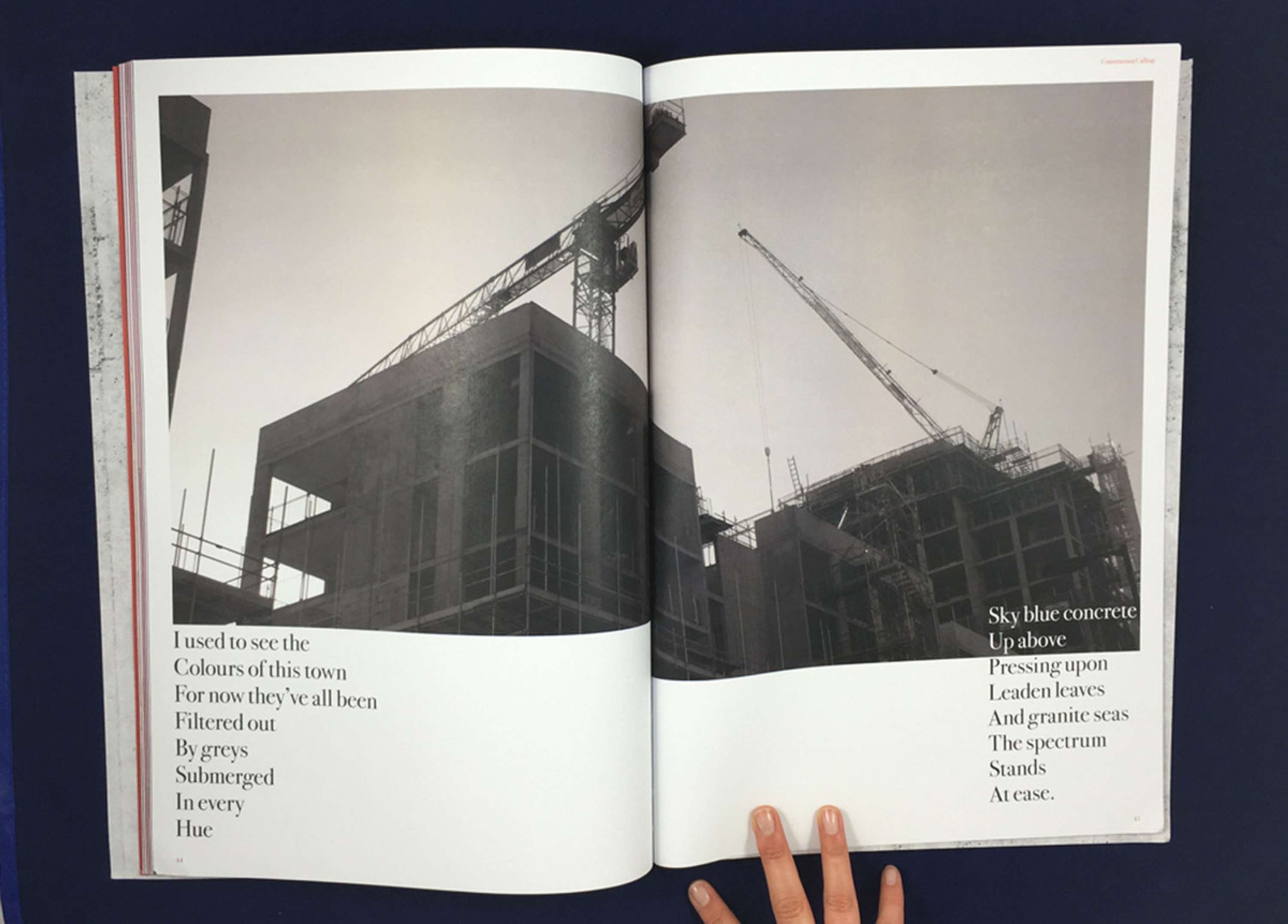 Commuting With Cranes by Marie O'Shepherd