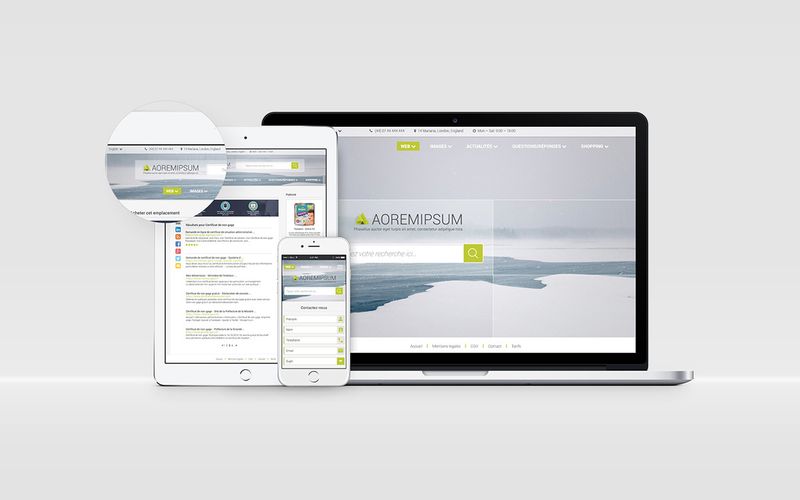 Search Engines by Alba Cruz