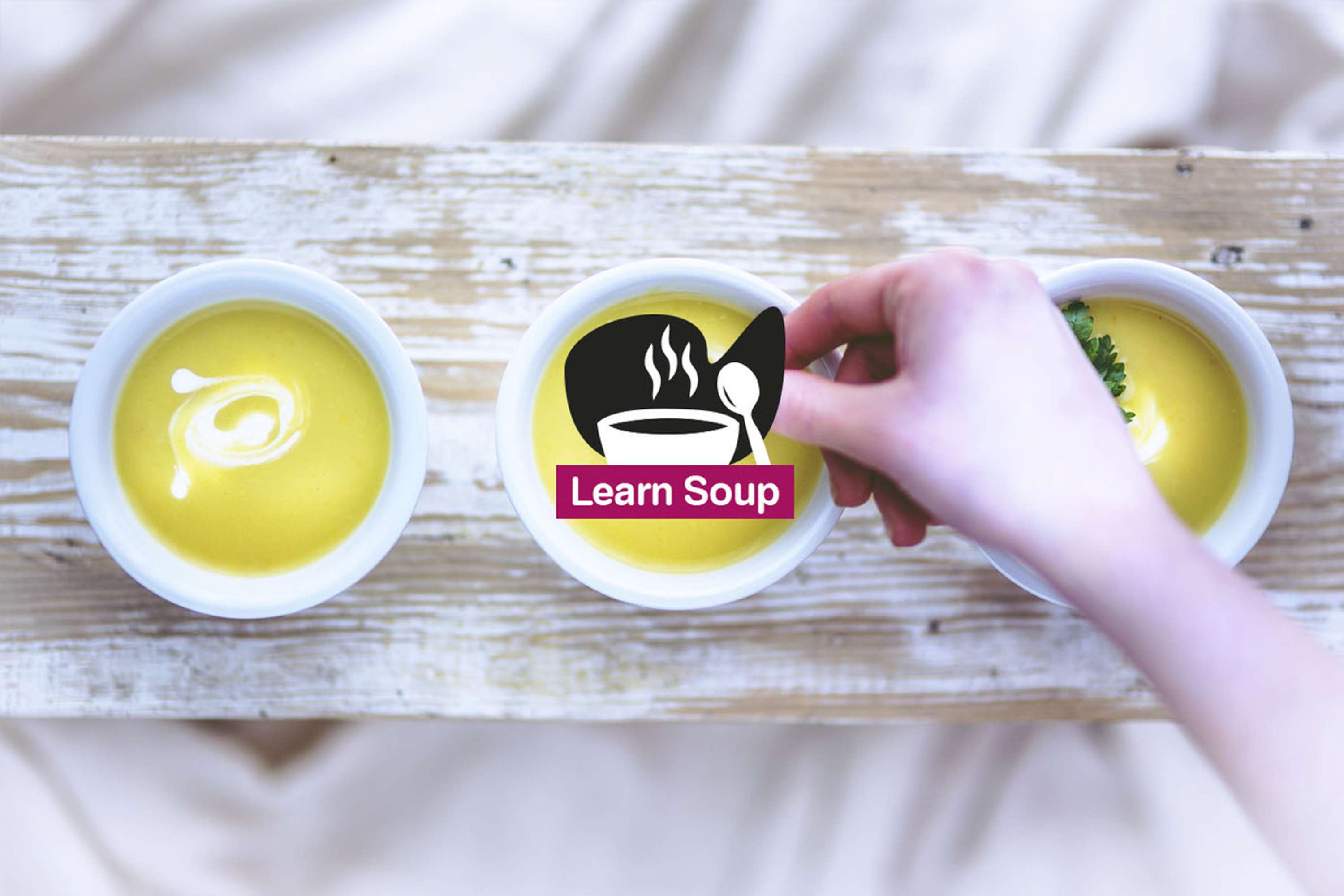 Learnsoup by Luca Guglielmi