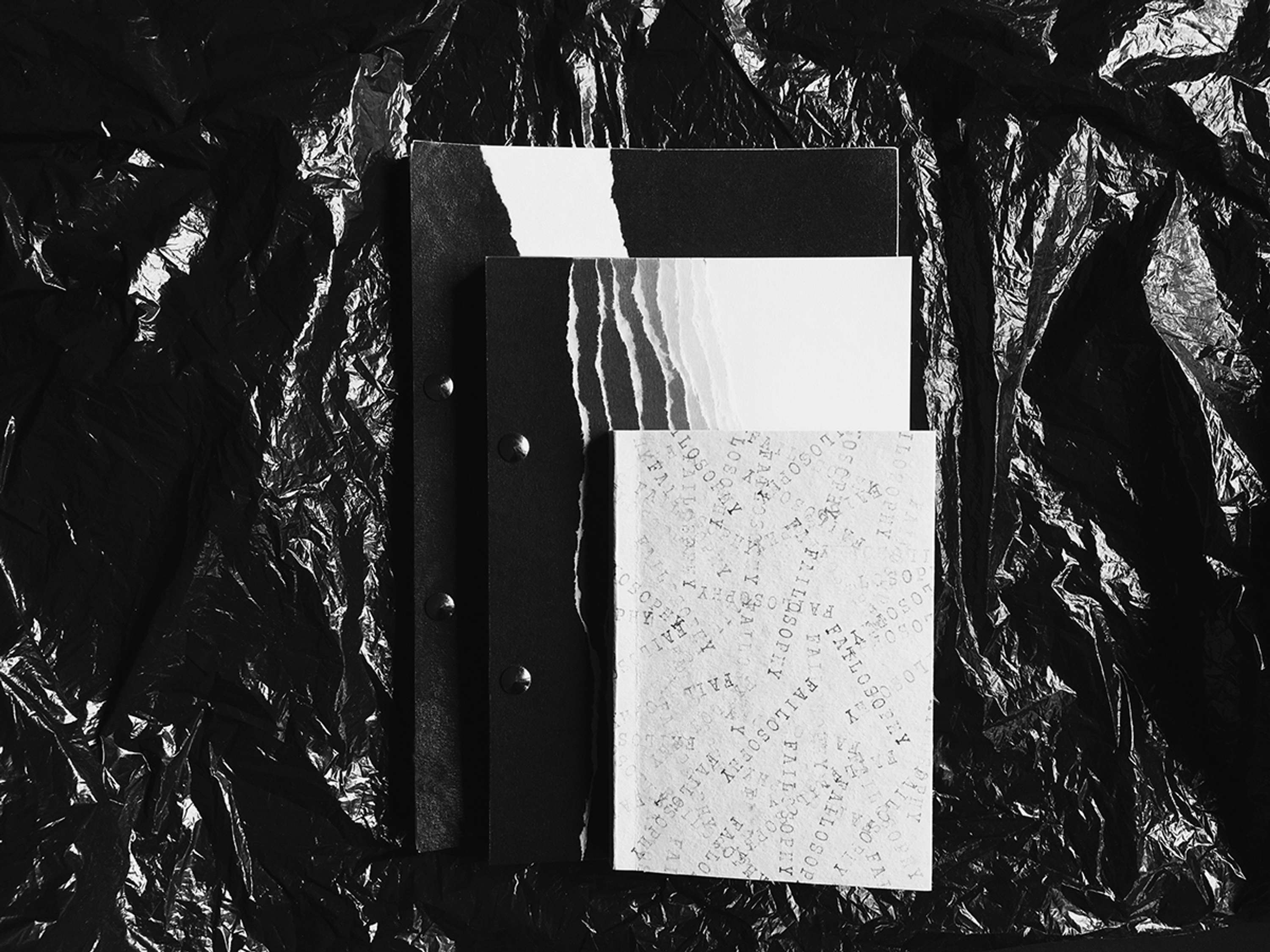'Failosophy' visual research by Anna Vasiunyk