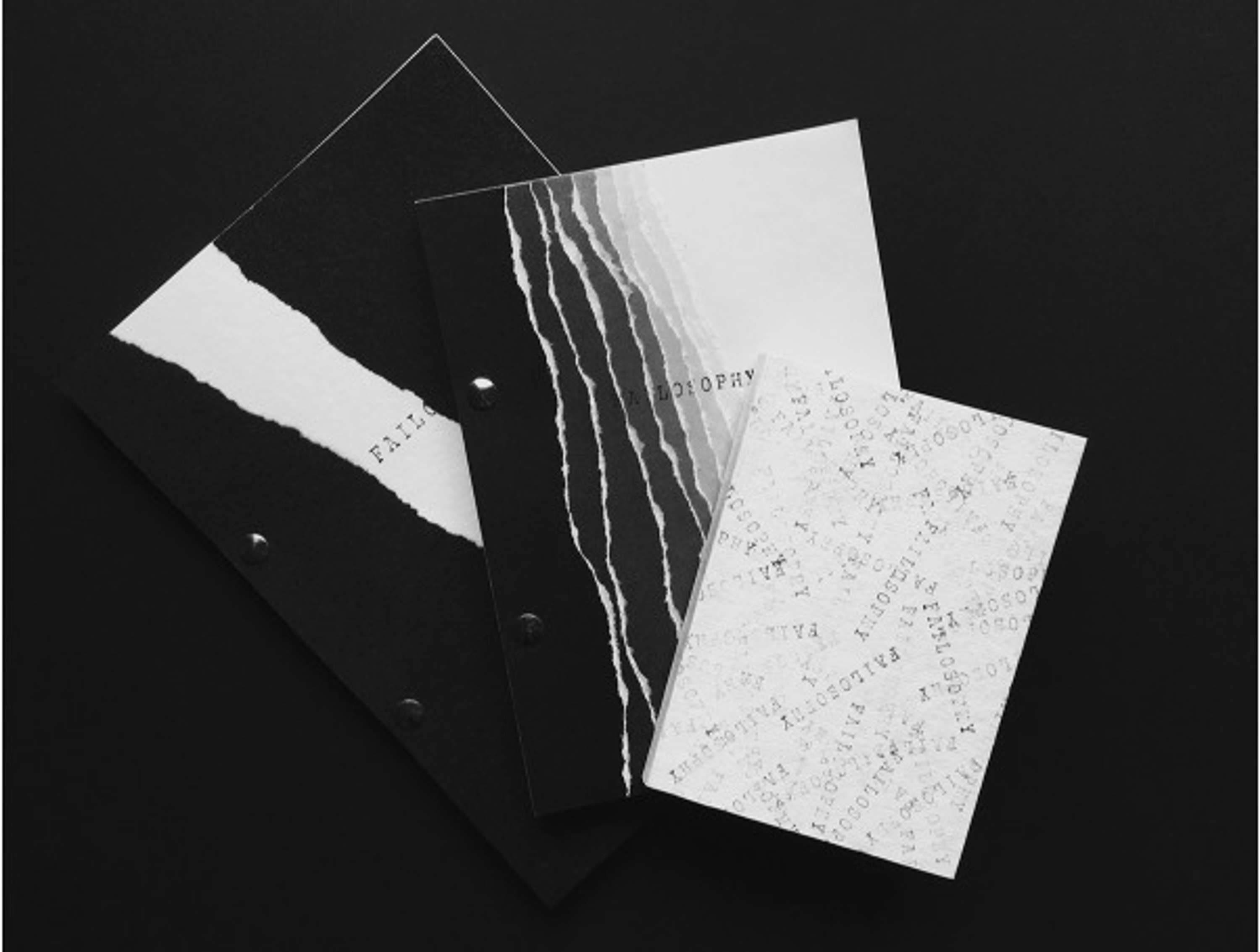 'Failosophy' visual research by Anna Vasiunyk