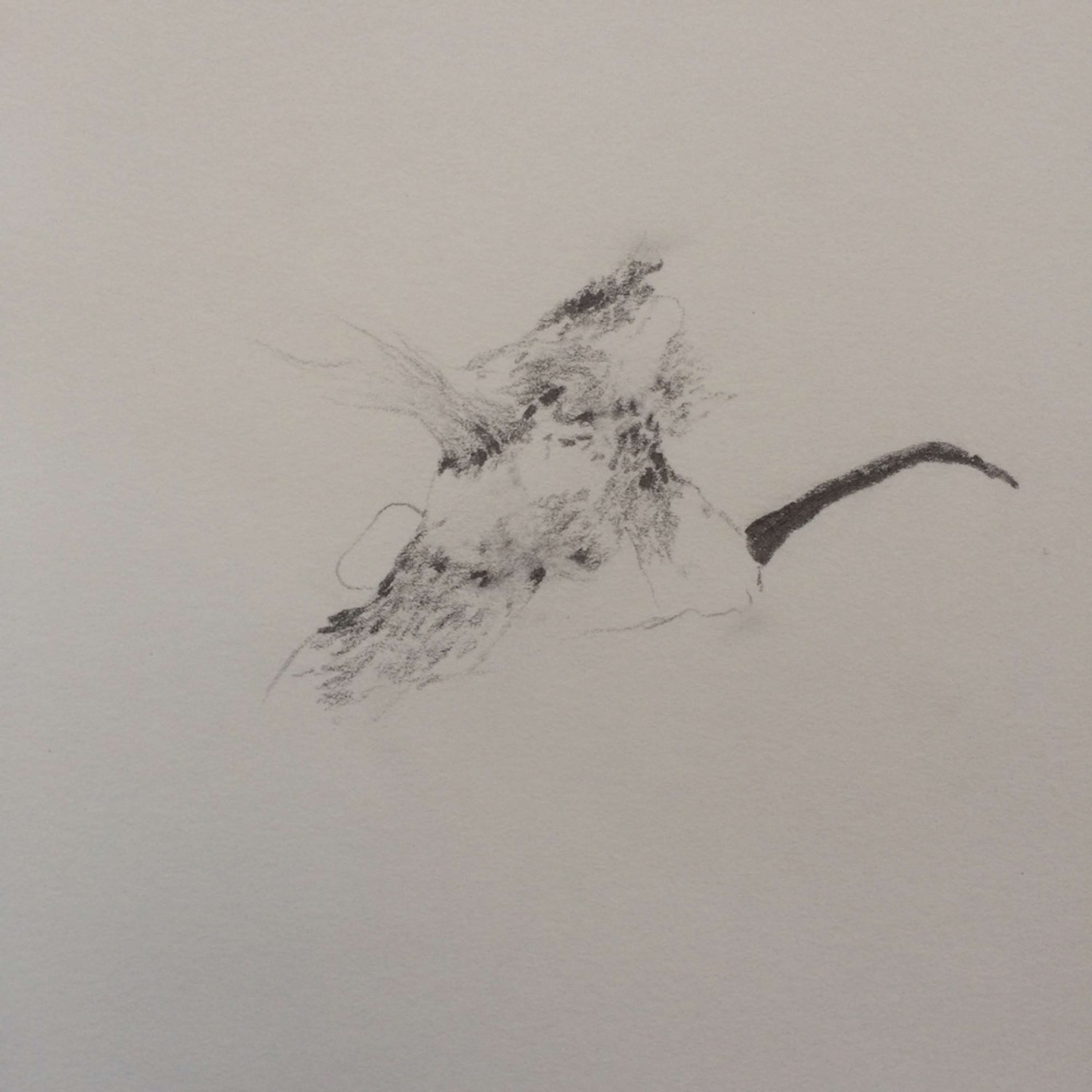DRAWING by Ikran Abdille