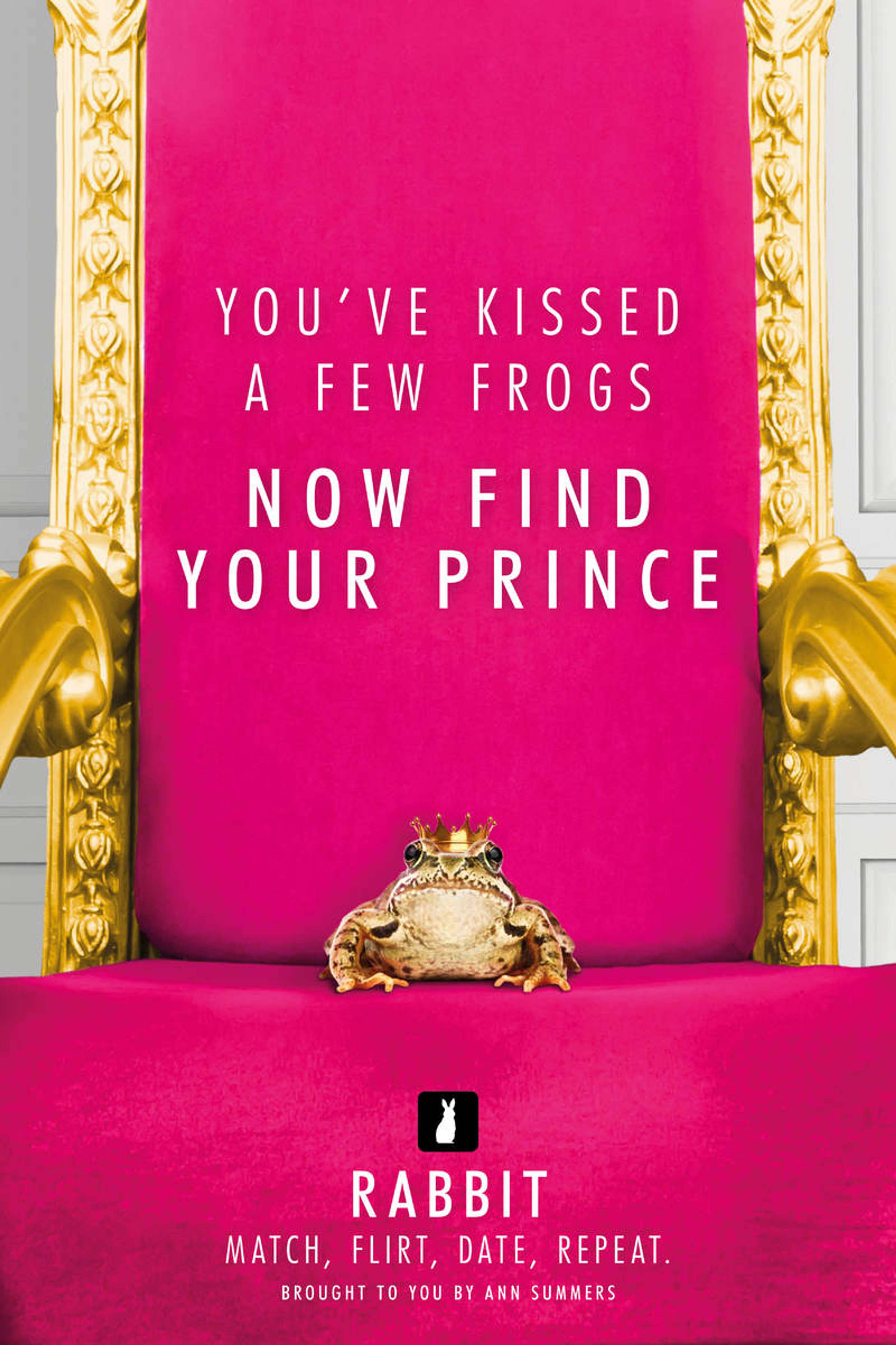 Ann Summers Rabbit Dating App Campaign by Sarah Shiplee