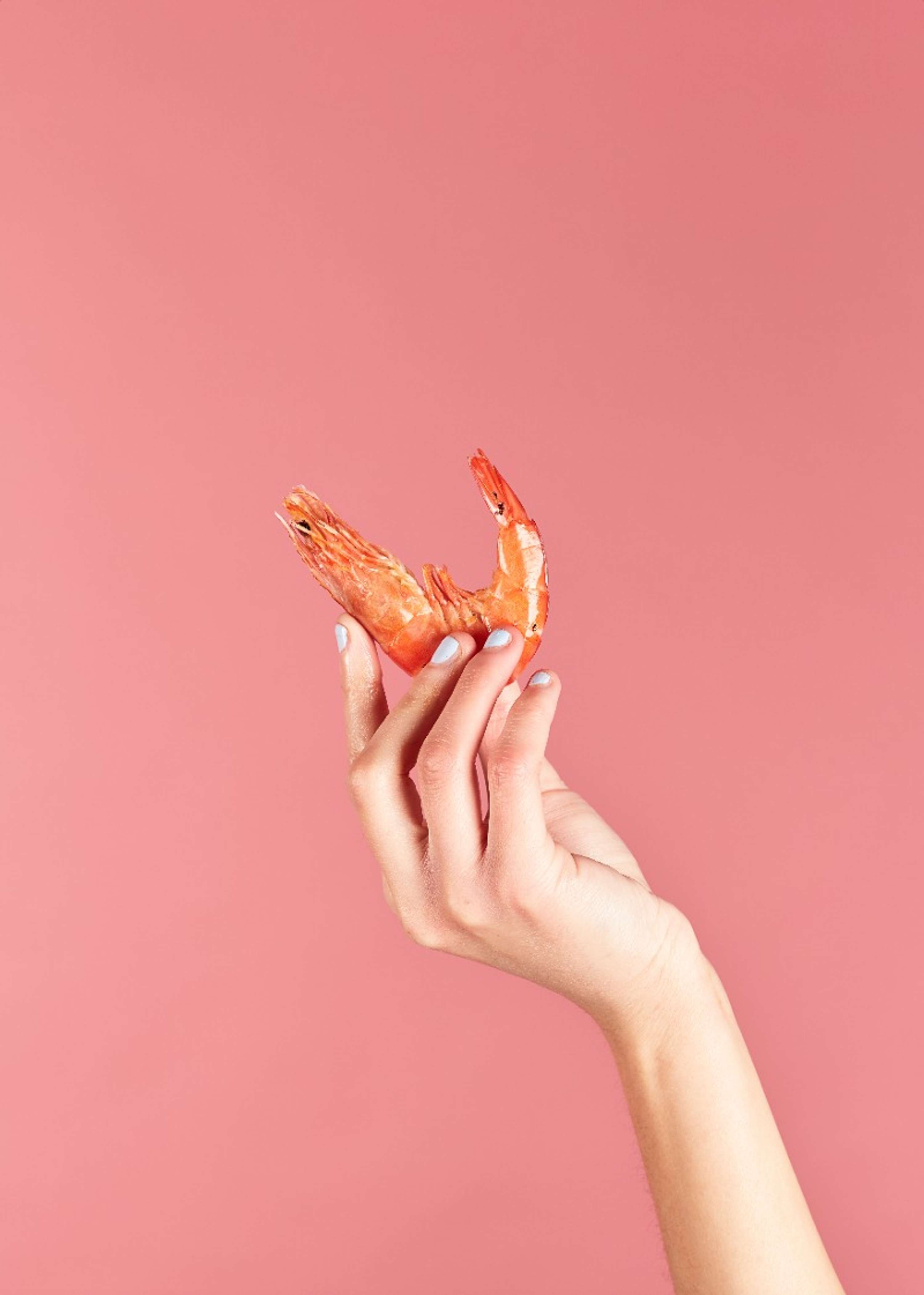 Future Feast by Amy Brooker