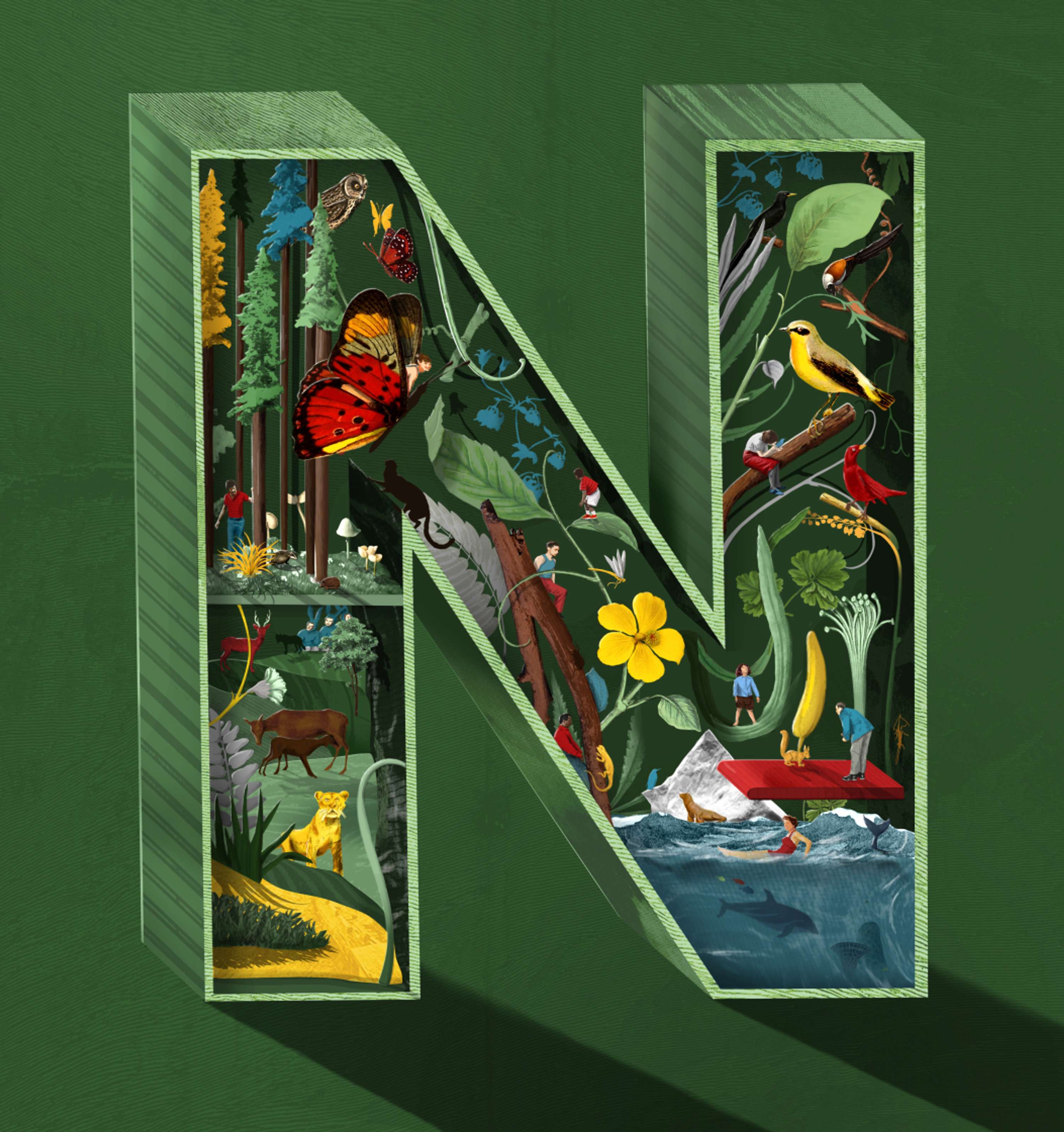 N Is For Nature by Sam Falconer
