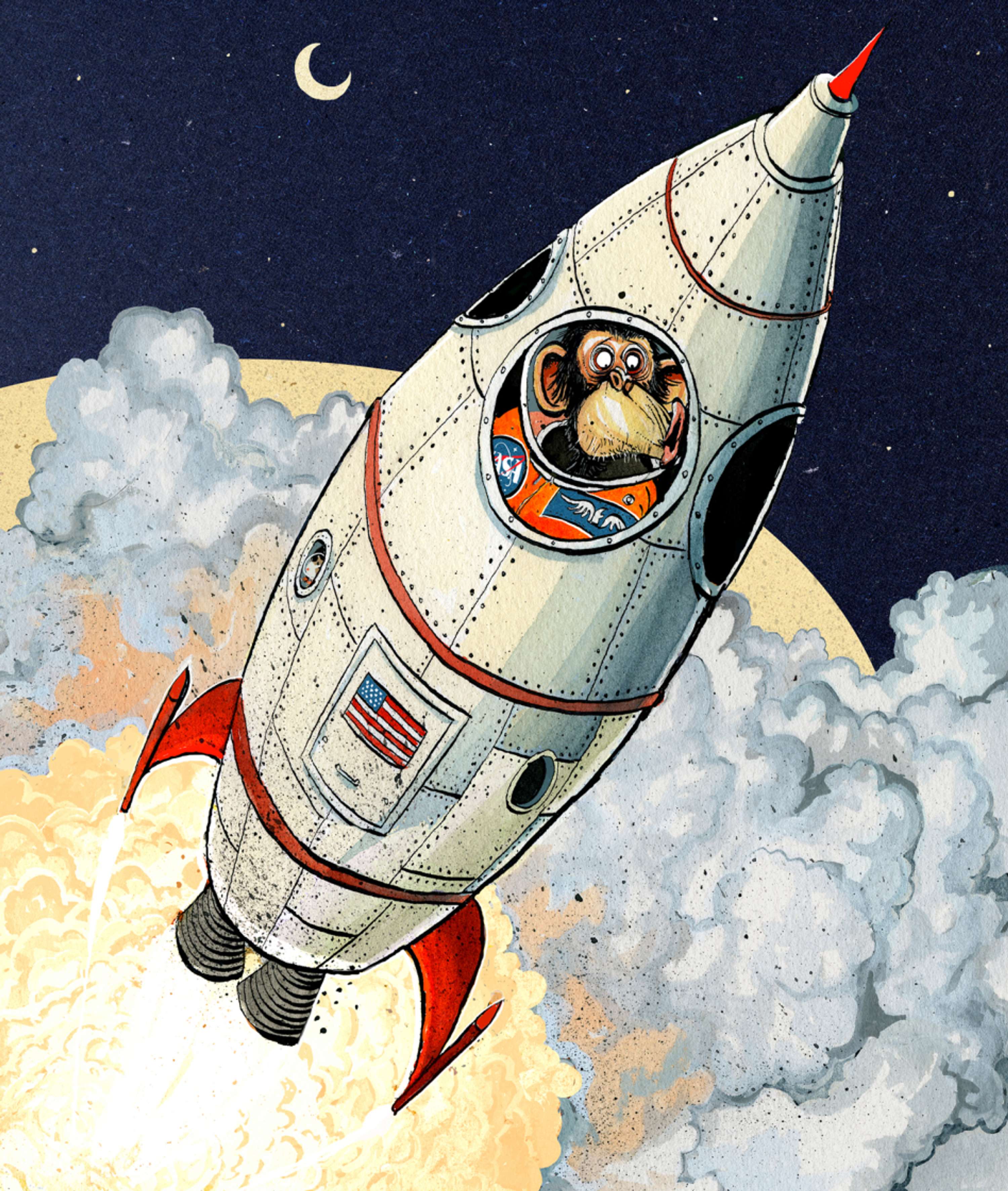T3 Space Monkey by Morten Morland