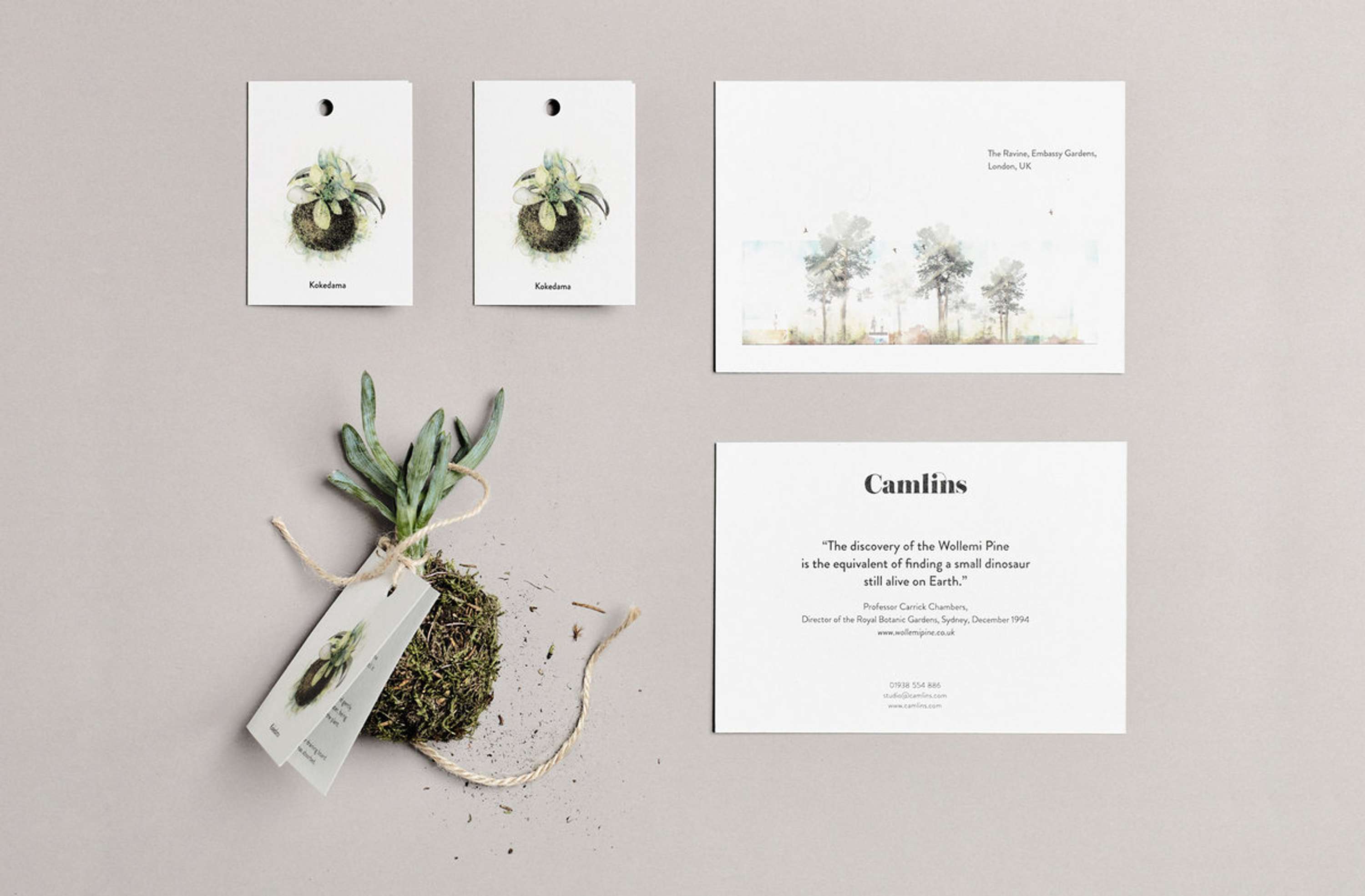 CAMLINS by Smith Dawson