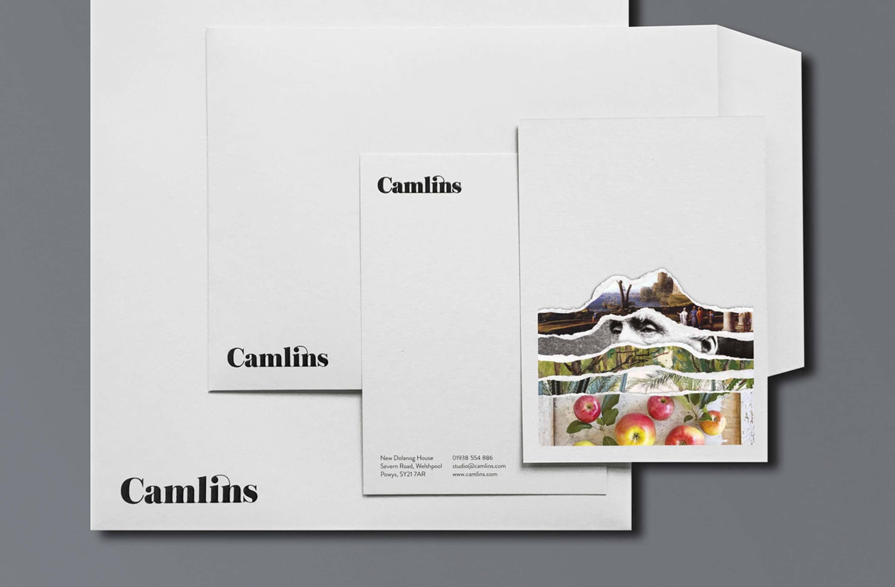 CAMLINS by Smith Dawson