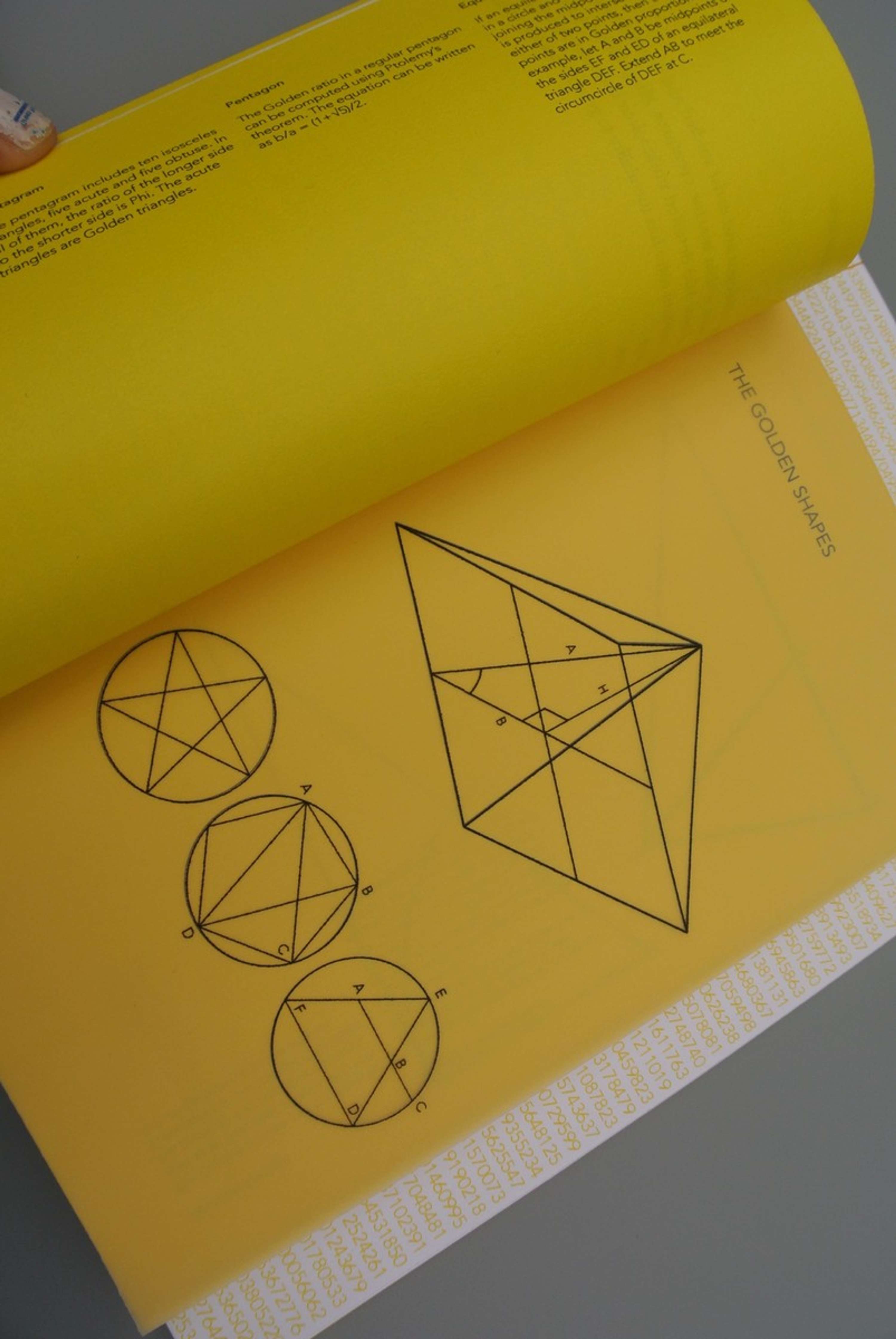 The golden section by Natasha Ward