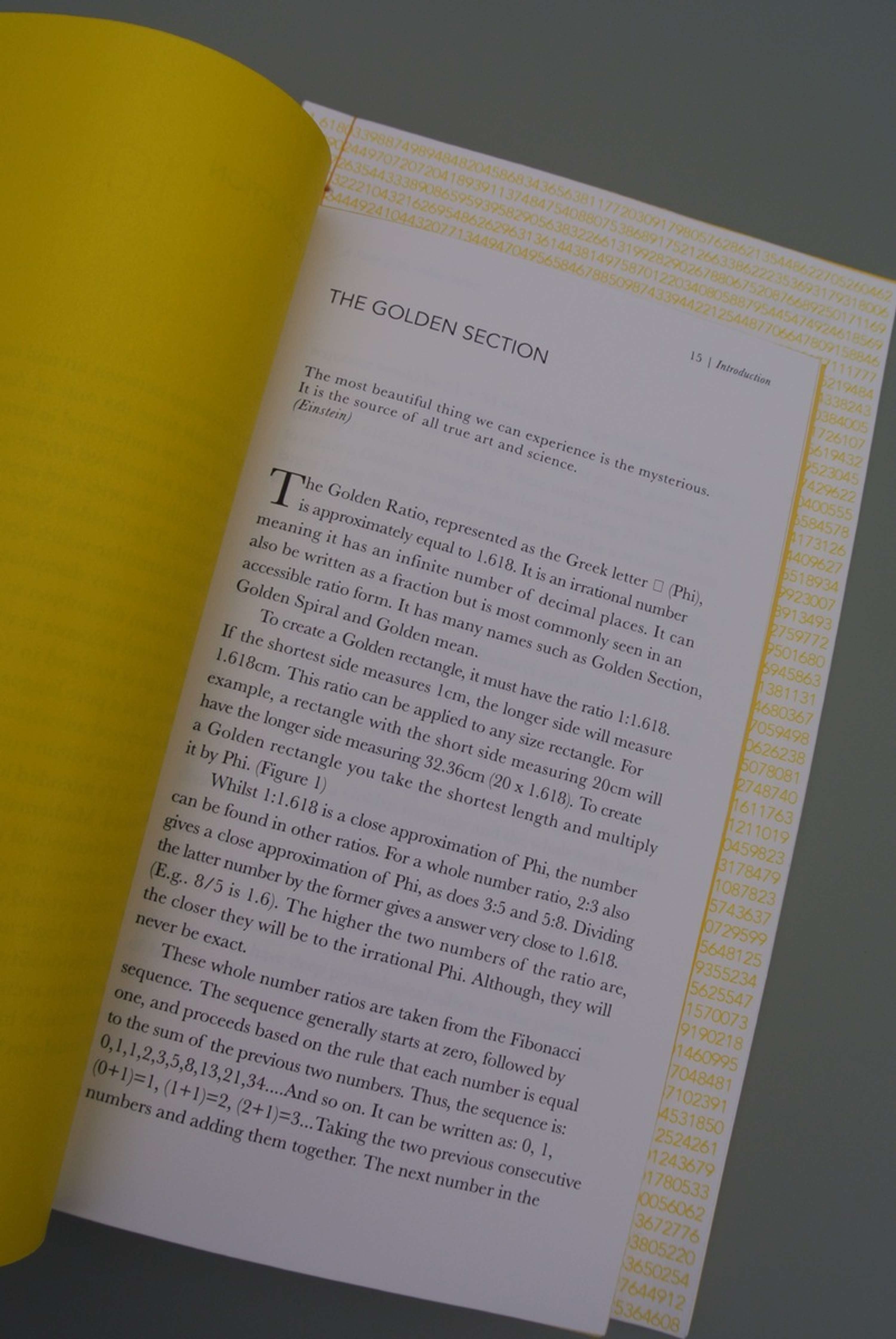 The golden section by Natasha Ward
