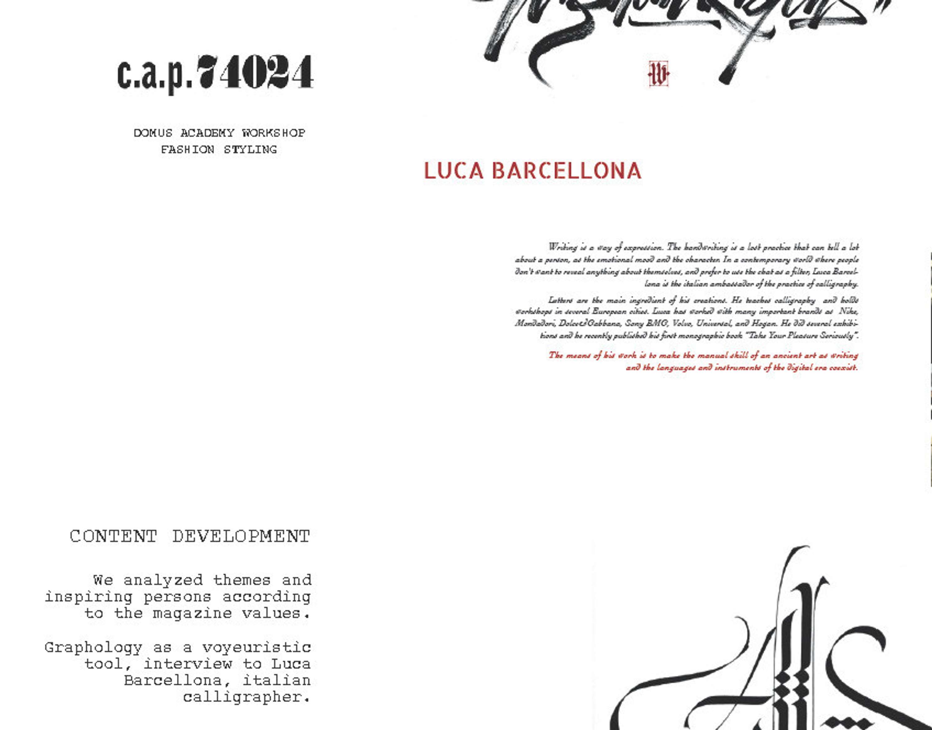 Creation of Visual Content by Carmen Zambrano