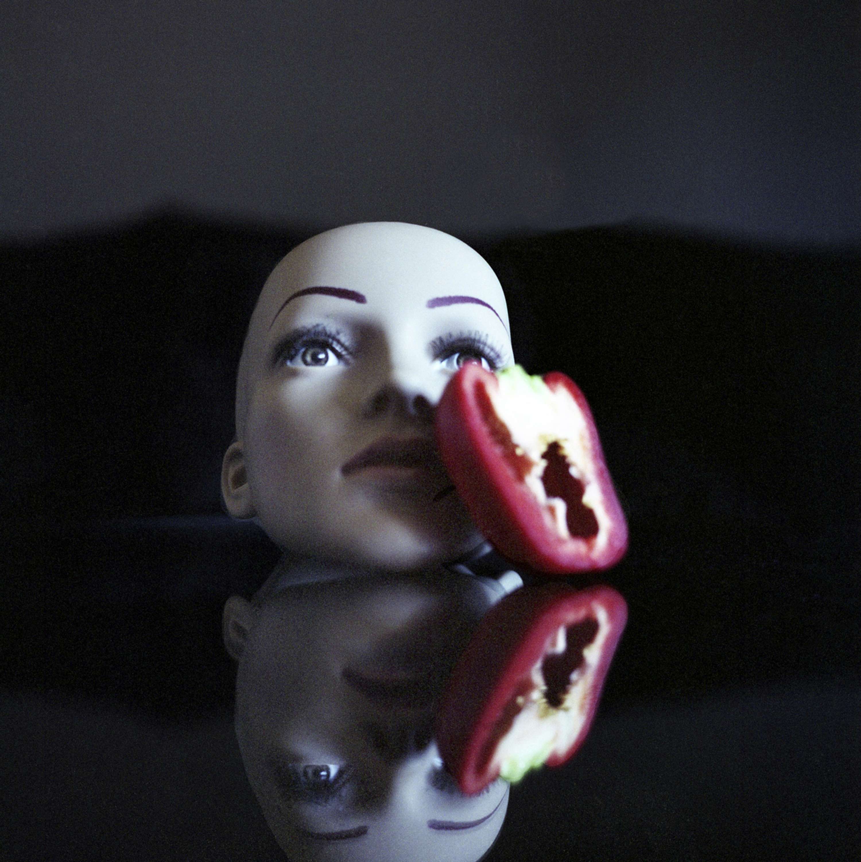 YOU SHOULD TAKE A PICTURE, IT LASTS LONGER by Paige Megan Hawley