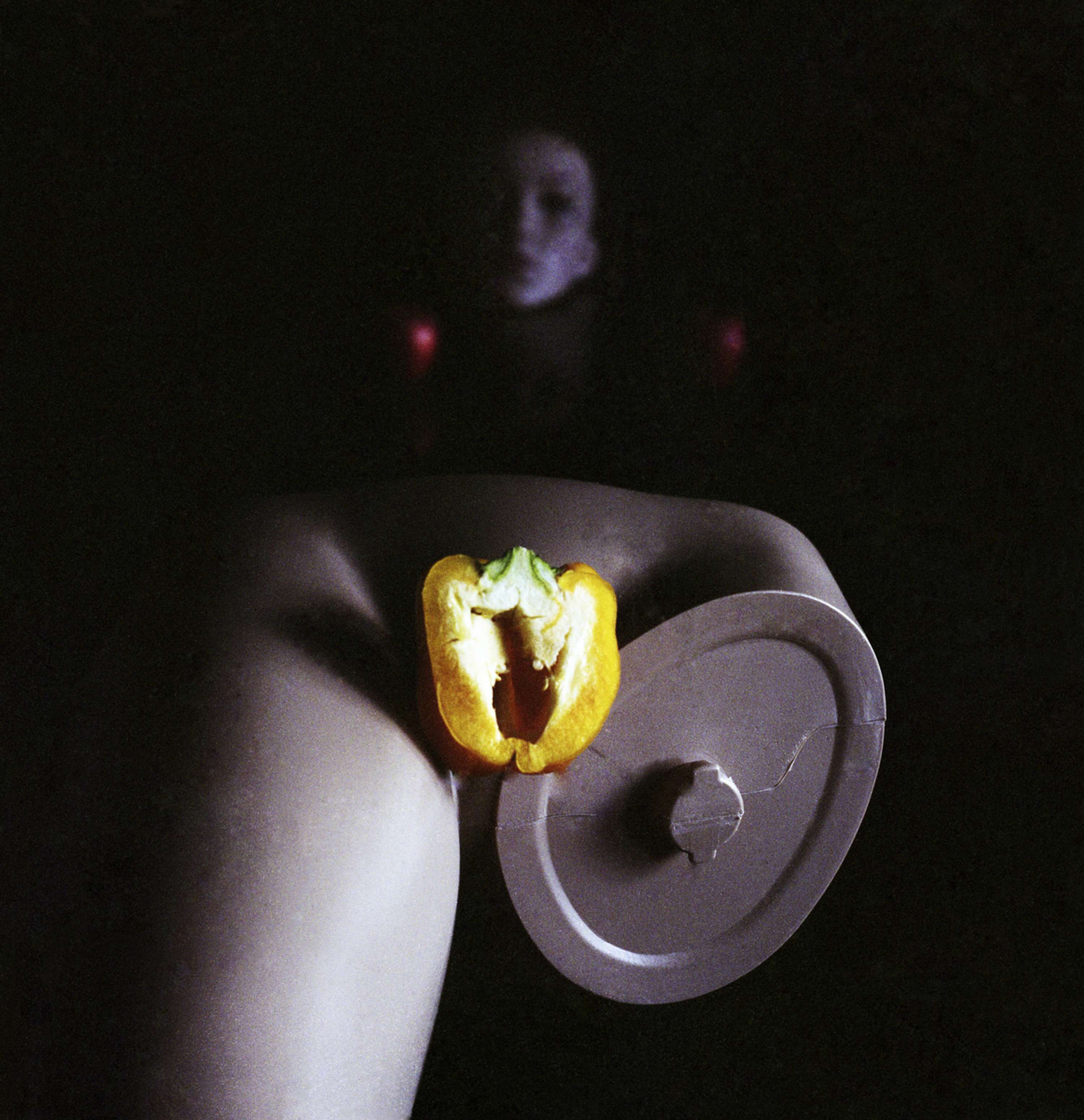 YOU SHOULD TAKE A PICTURE, IT LASTS LONGER by Paige Megan Hawley