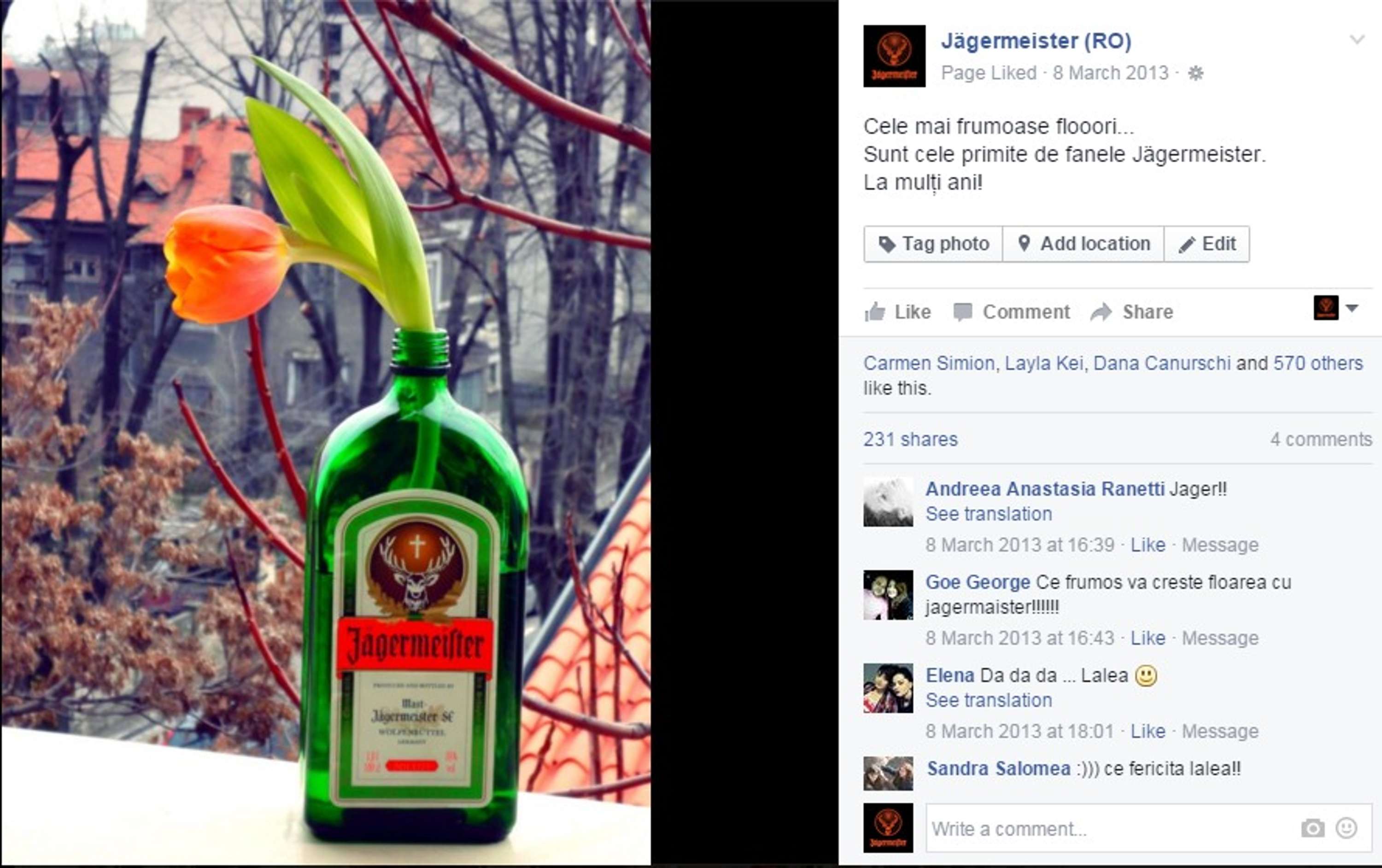 Jägermeister by Corina Craja