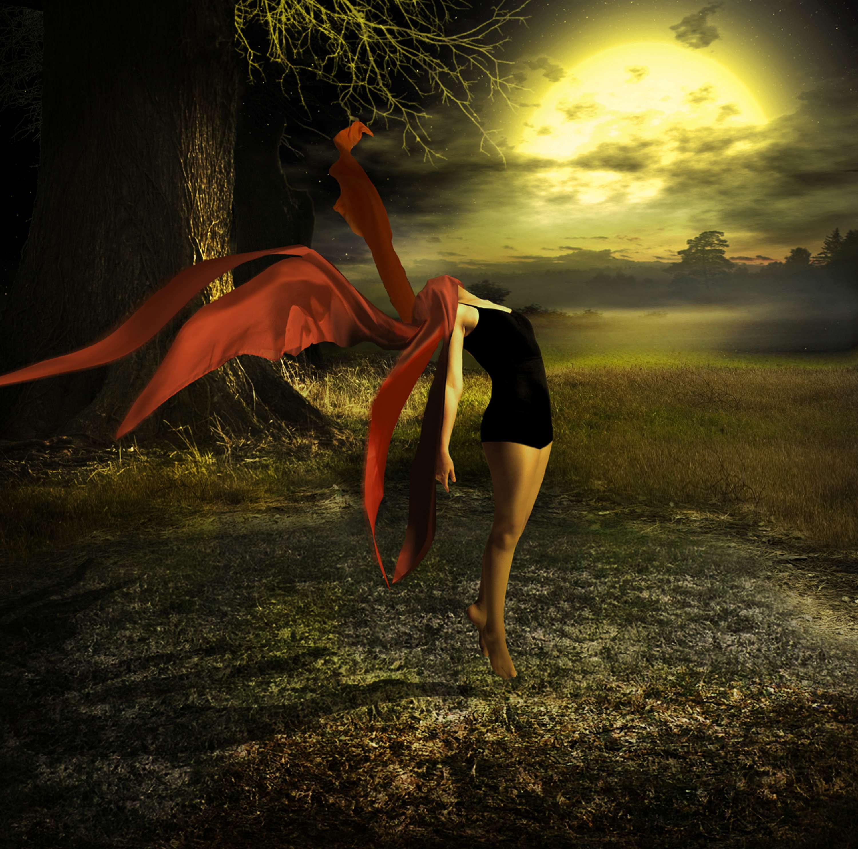 Surrealism by Barsha KC
