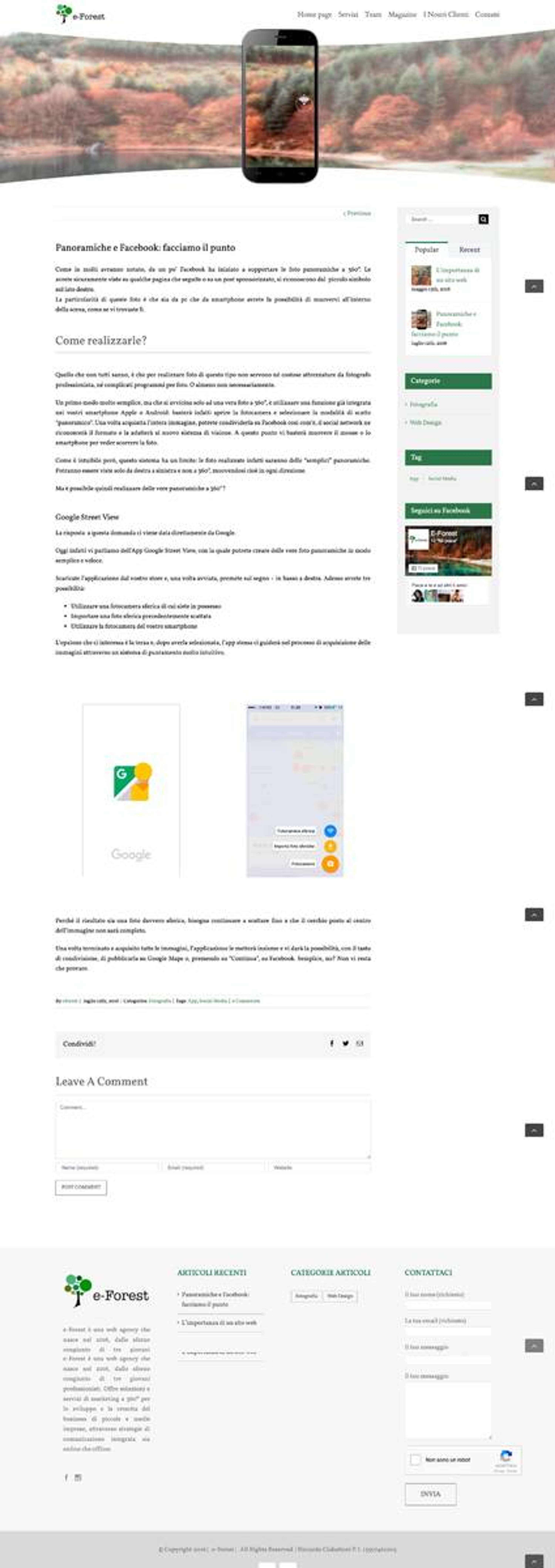 e-Forest Website by e-Forest