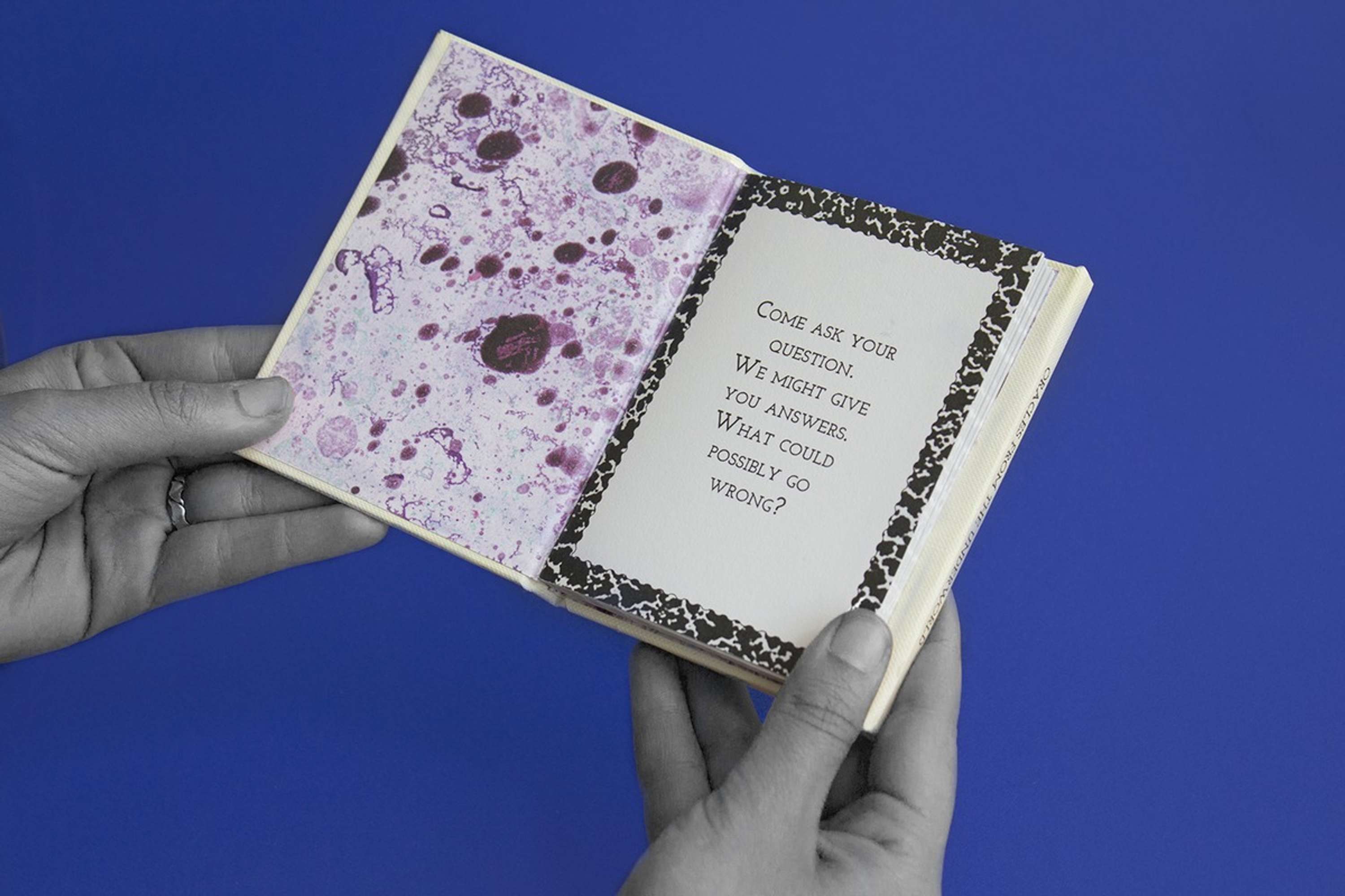 The little book of oracles by Nikki Ritmeijer