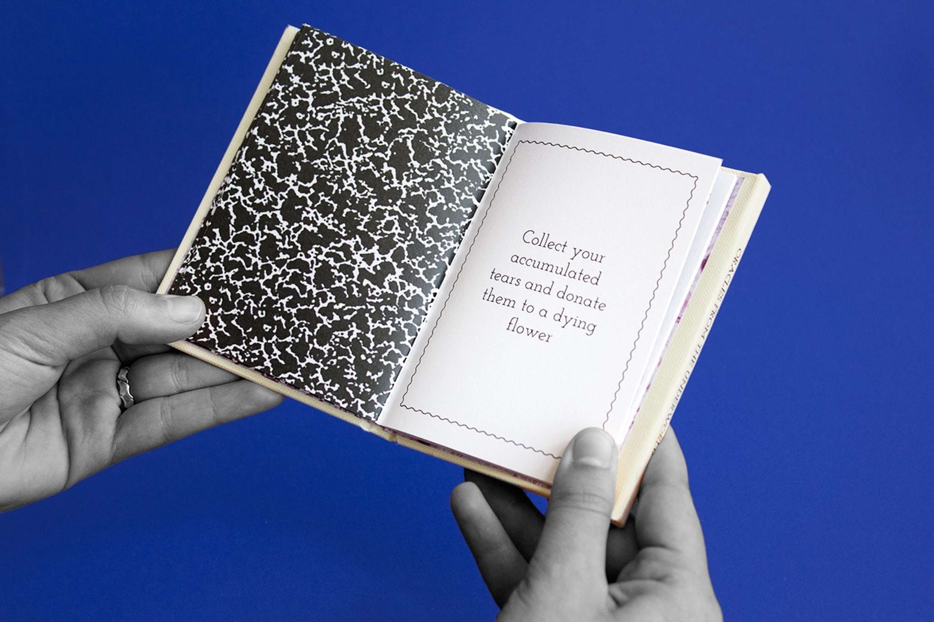 The little book of oracles by Nikki Ritmeijer