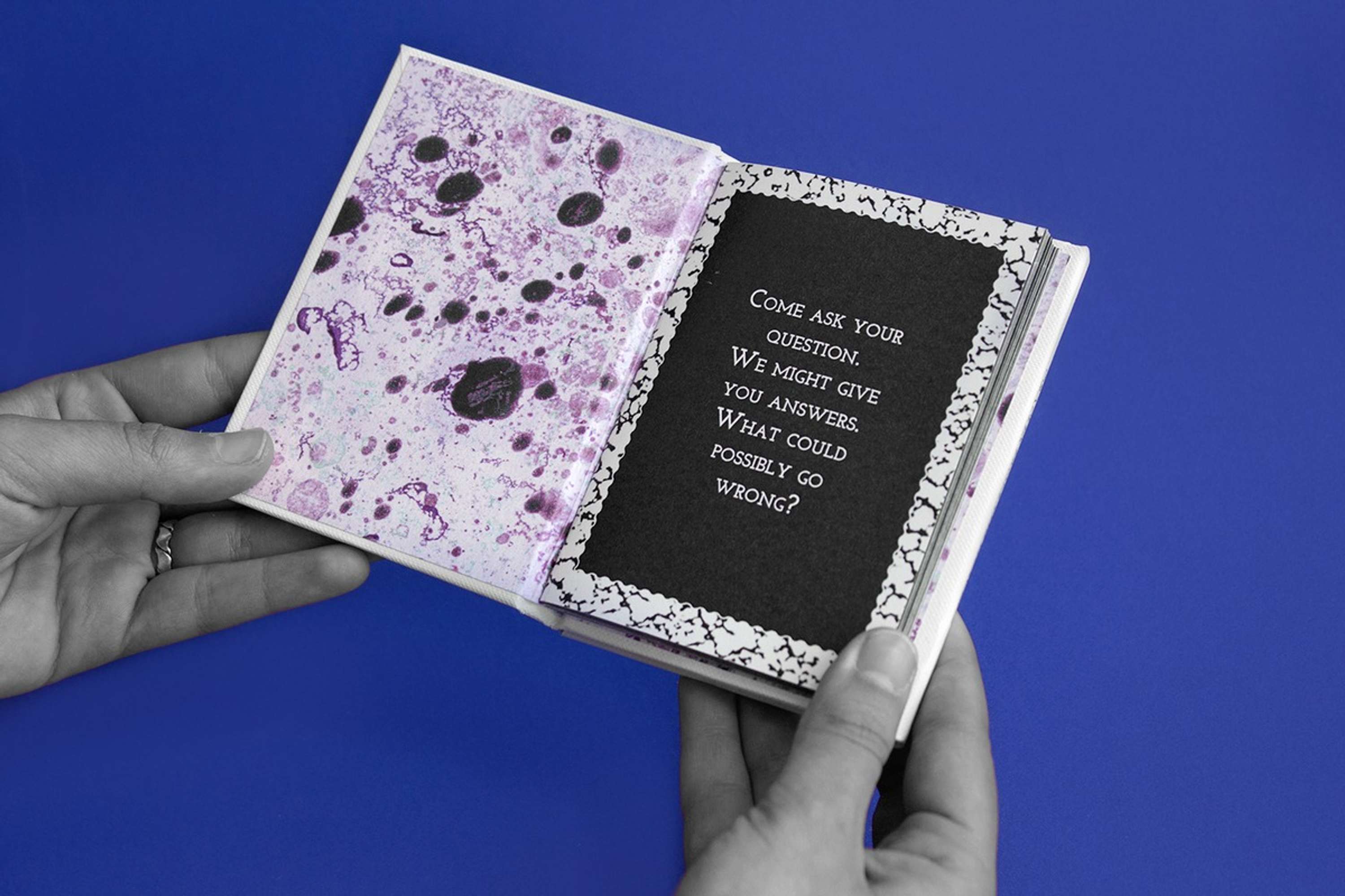 The little book of oracles by Nikki Ritmeijer