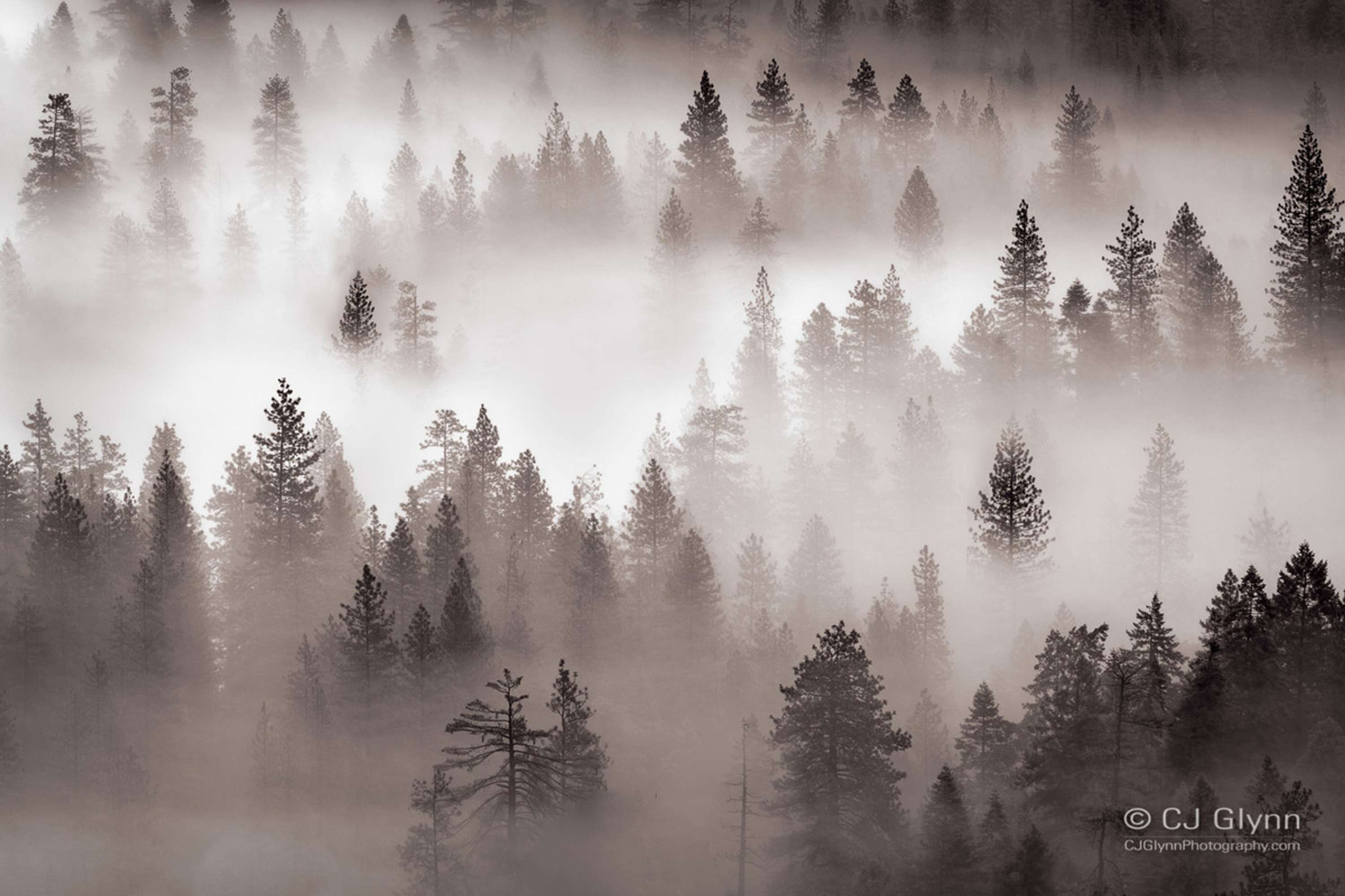 Yosemite in Winter by CJ Glynn