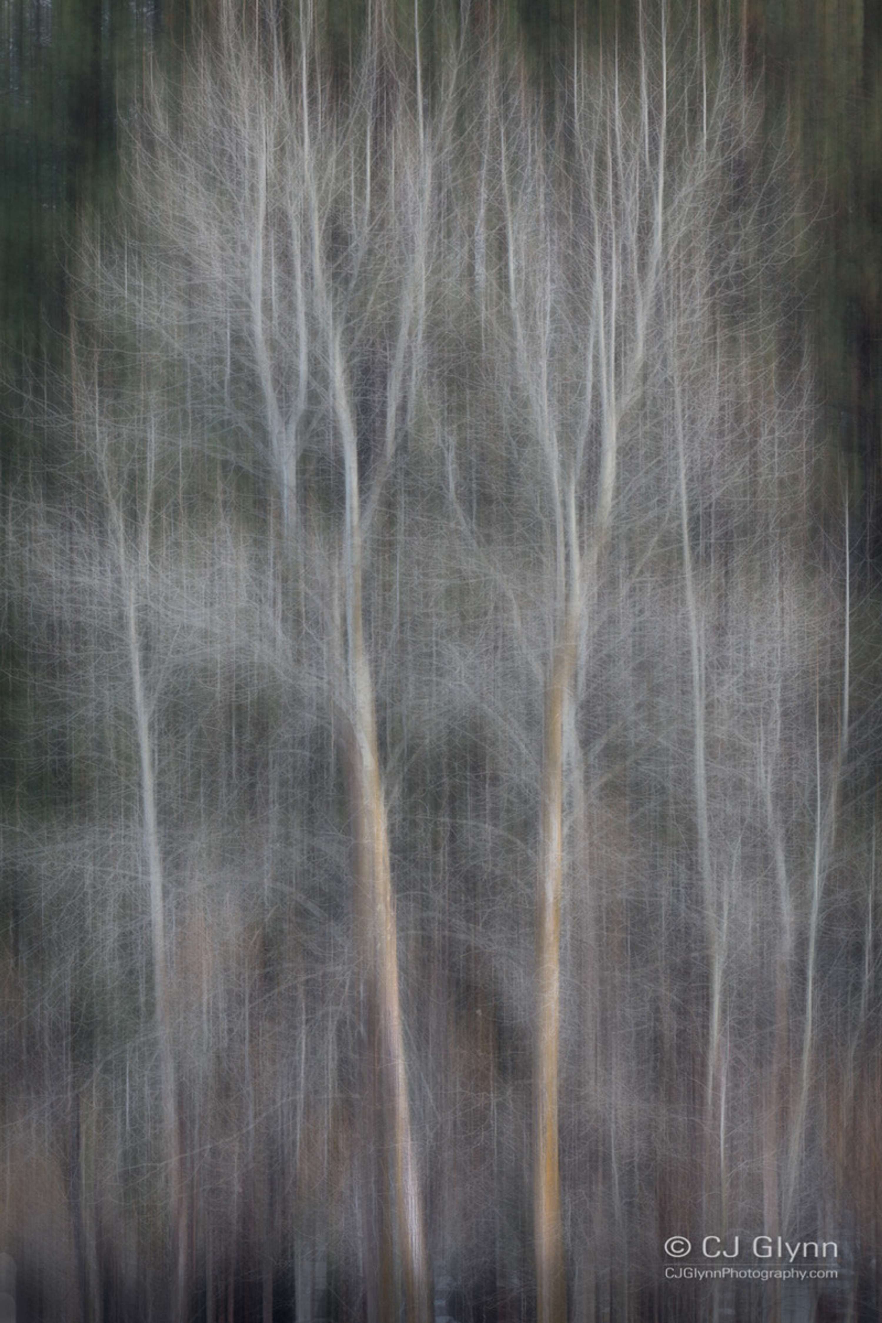 Yosemite in Winter by CJ Glynn