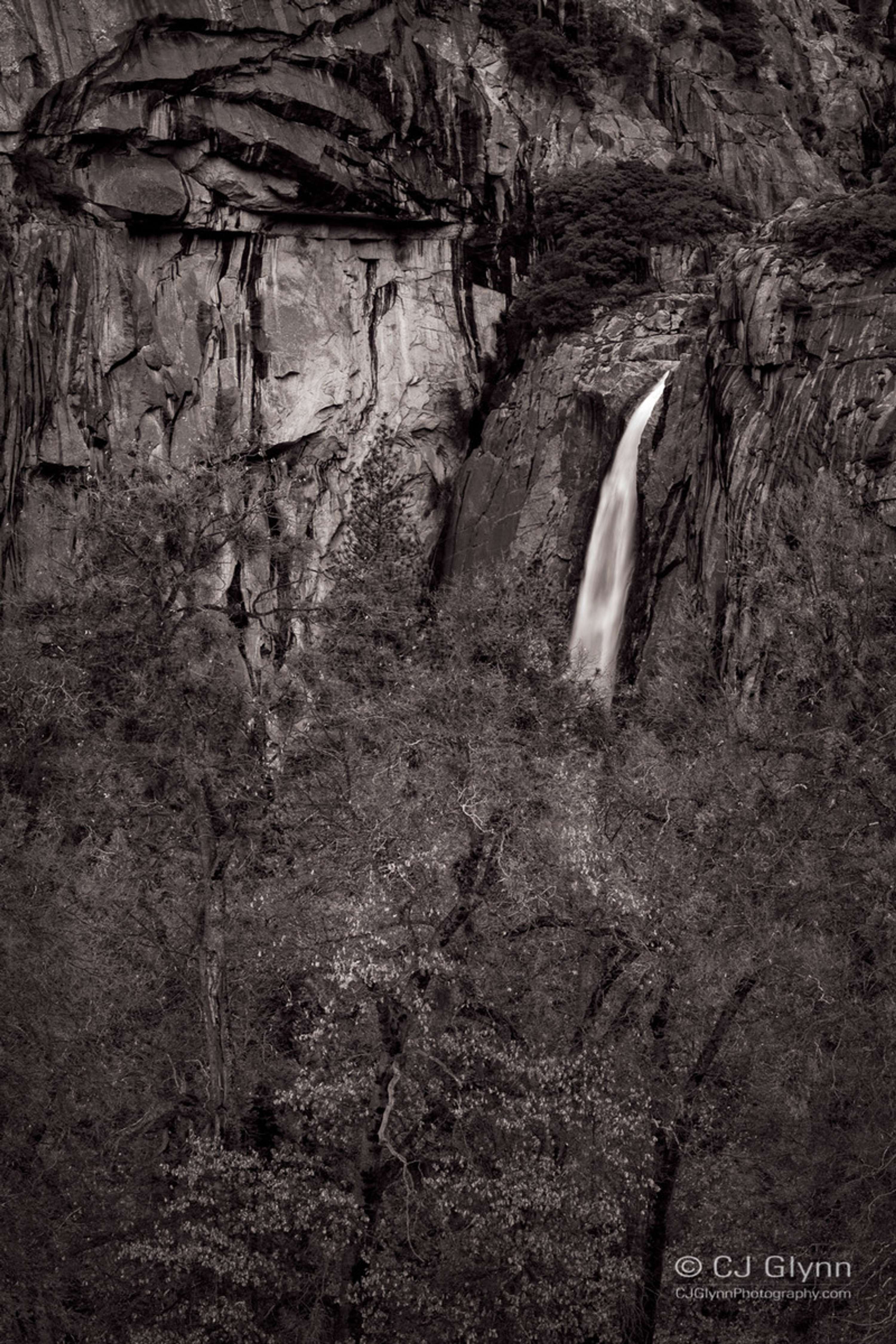 Yosemite in Winter by CJ Glynn
