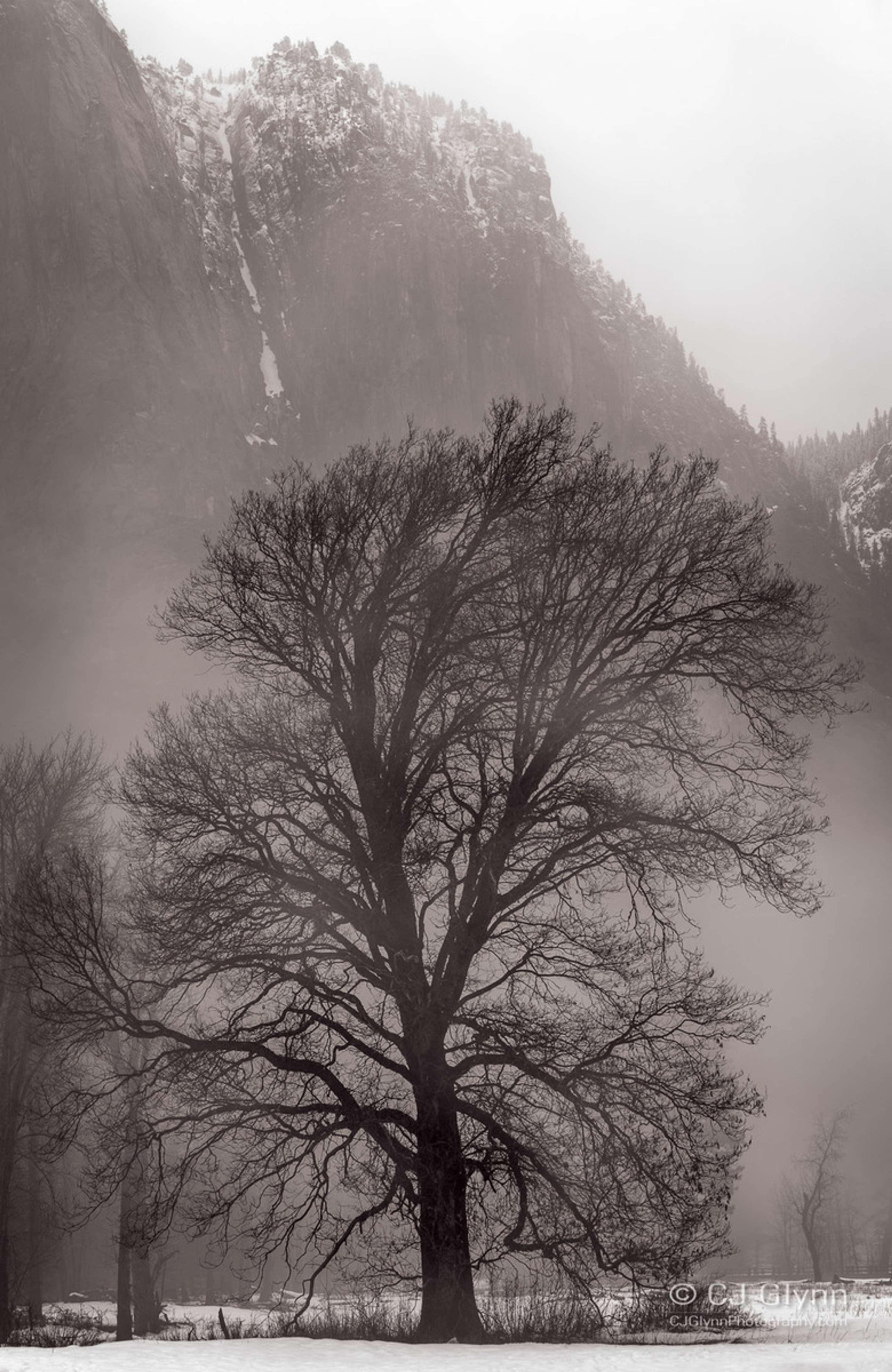 Yosemite in Winter by CJ Glynn