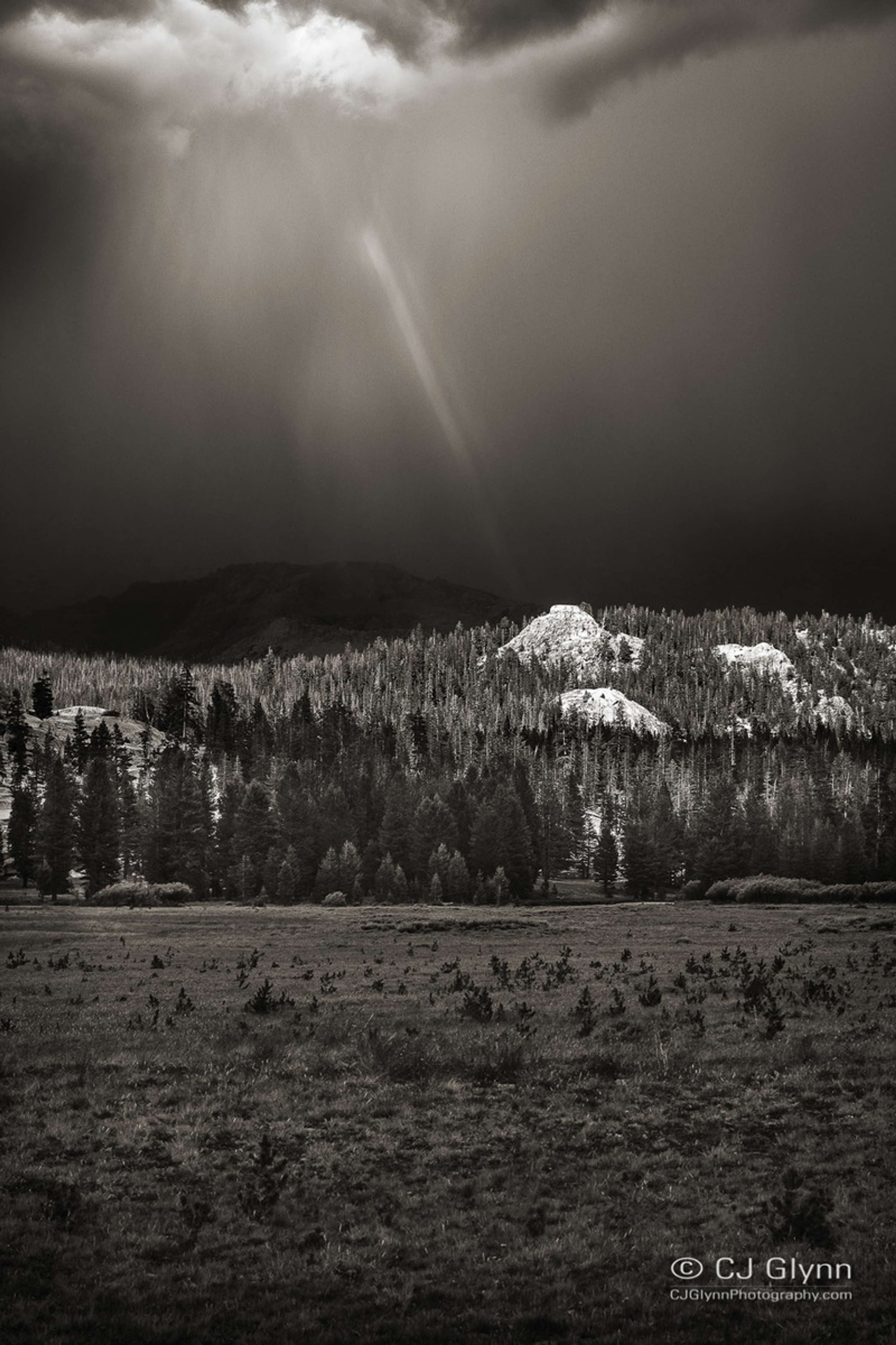 Yosemite High Country & Mono Lake by CJ Glynn