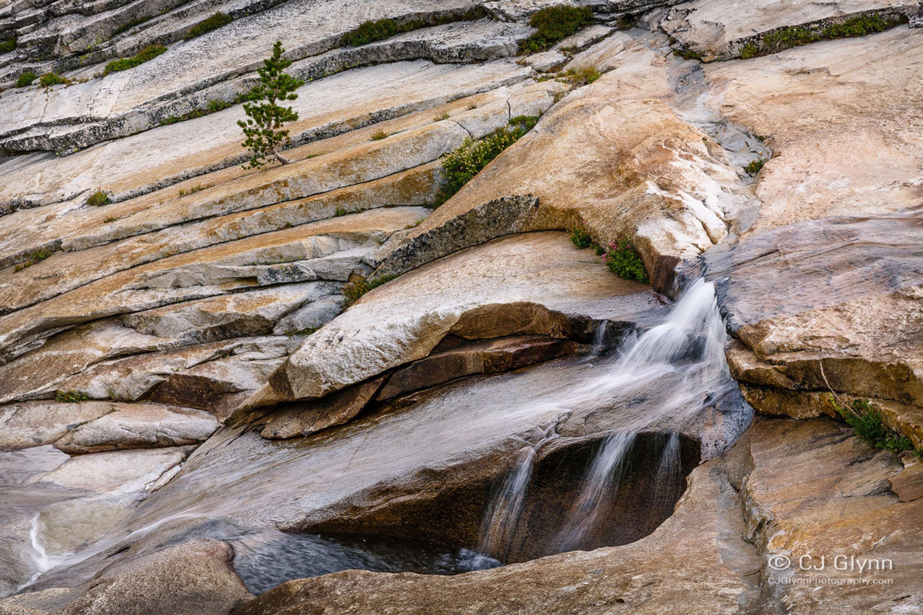 Yosemite High Country & Mono Lake by CJ Glynn