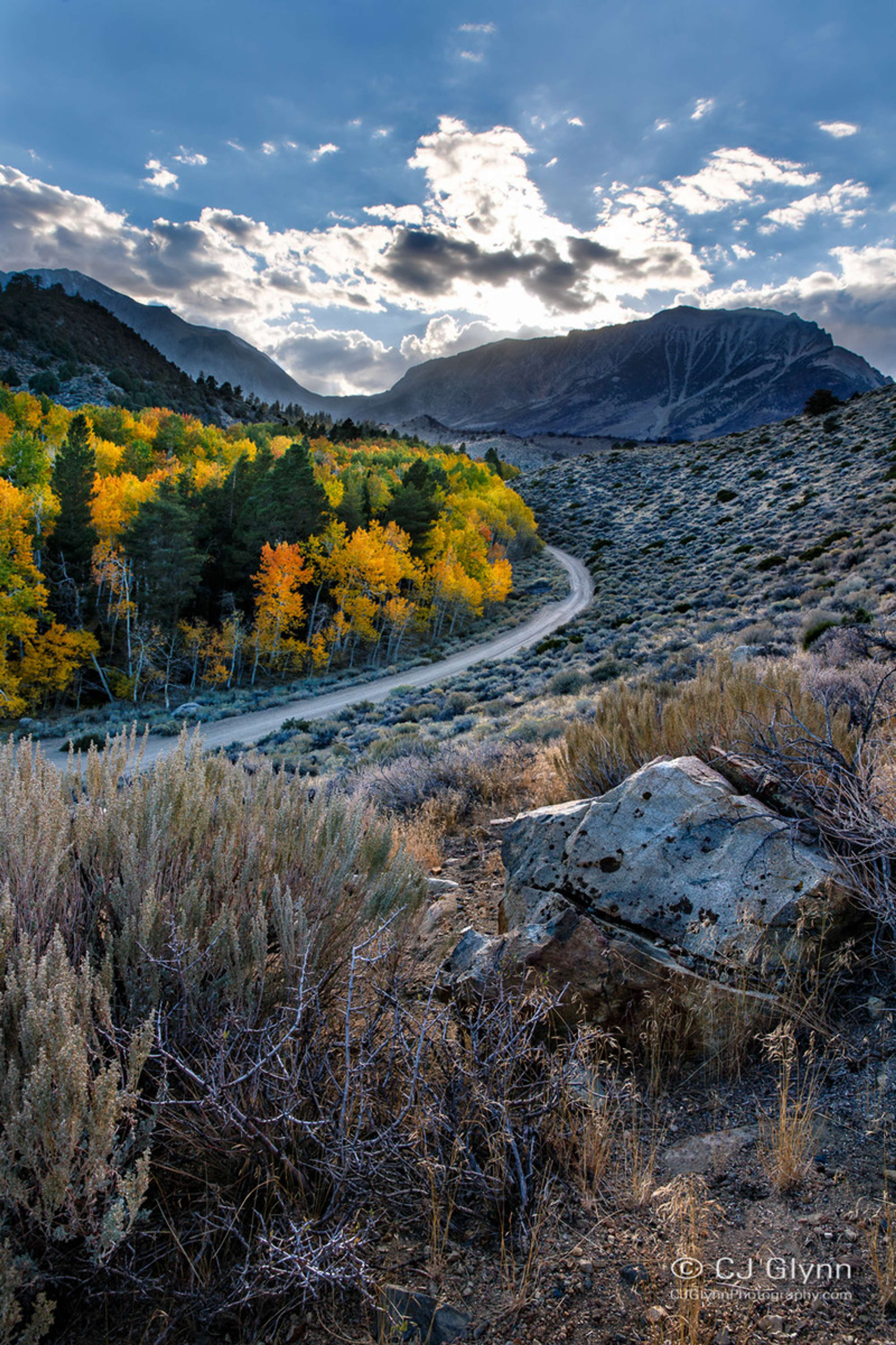 Eastern Sierra Fall Color by CJ Glynn