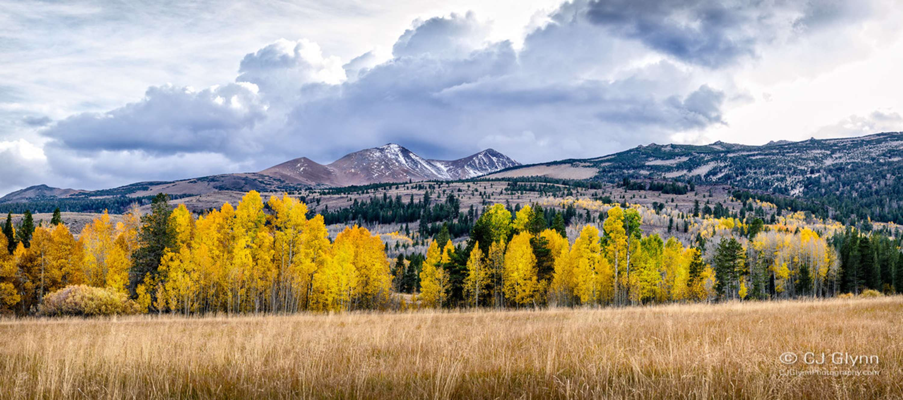 Eastern Sierra Fall Color by CJ Glynn
