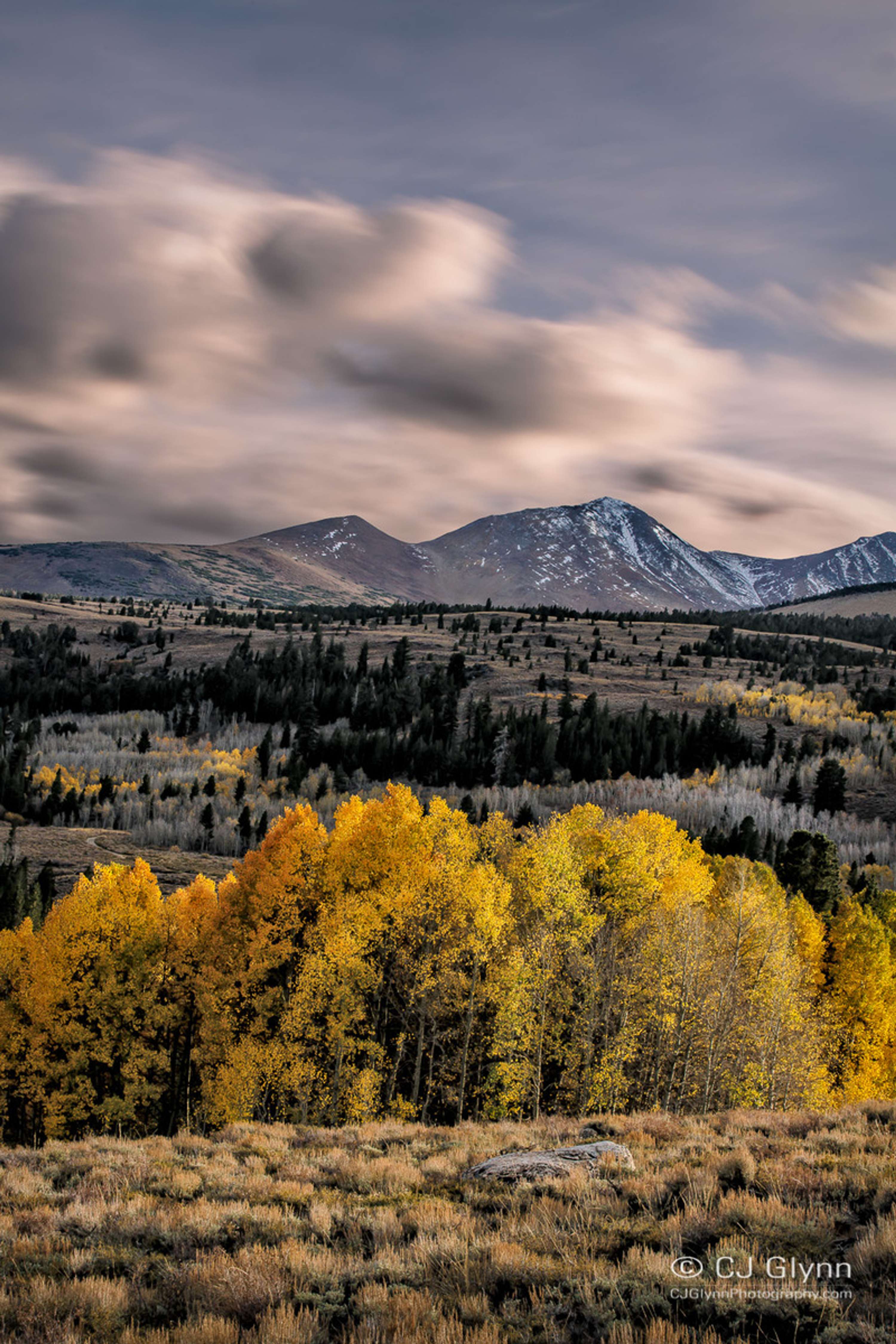 Eastern Sierra Fall Color by CJ Glynn