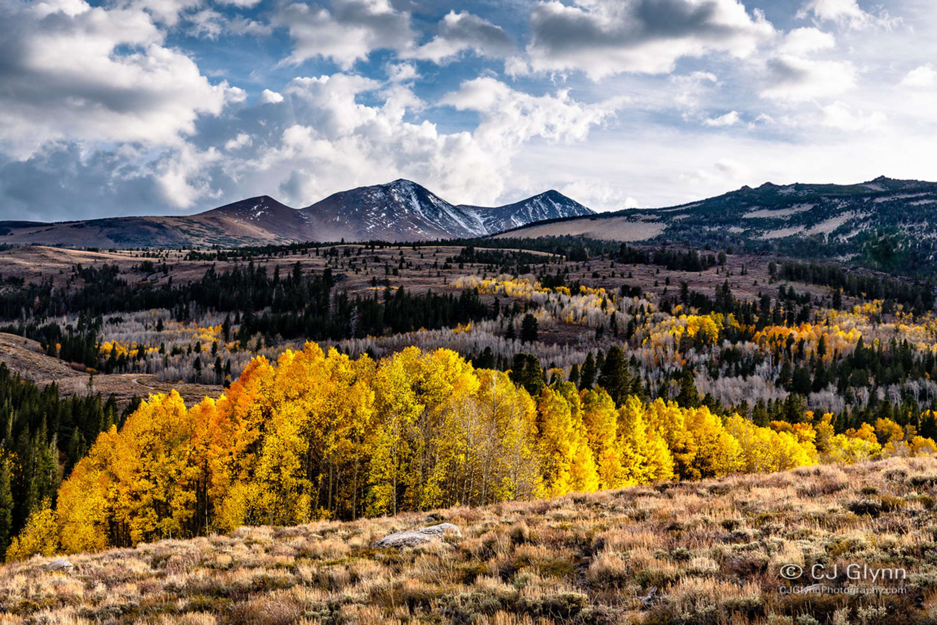 Eastern Sierra Fall Color by CJ Glynn