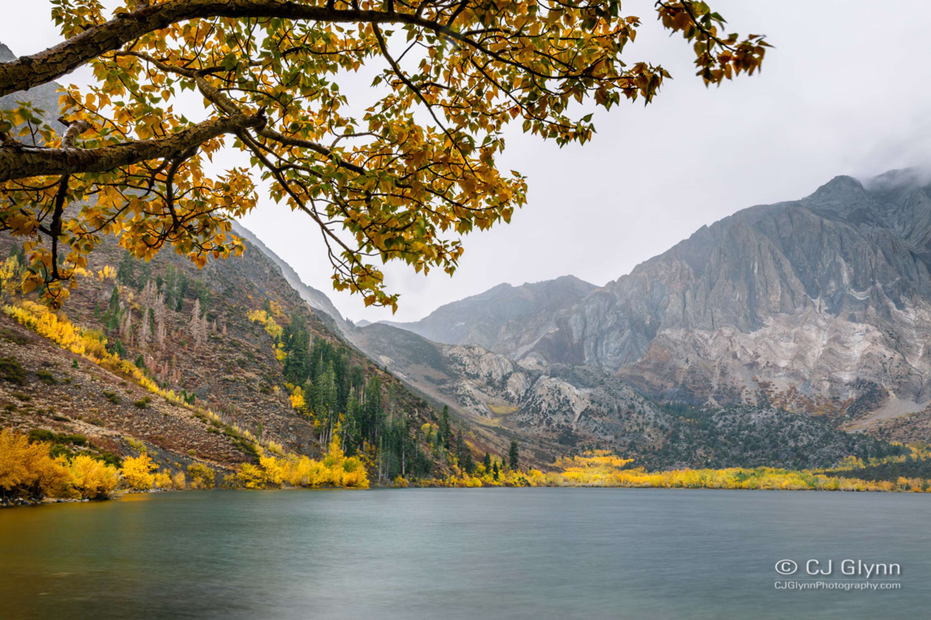 Eastern Sierra Fall Color by CJ Glynn
