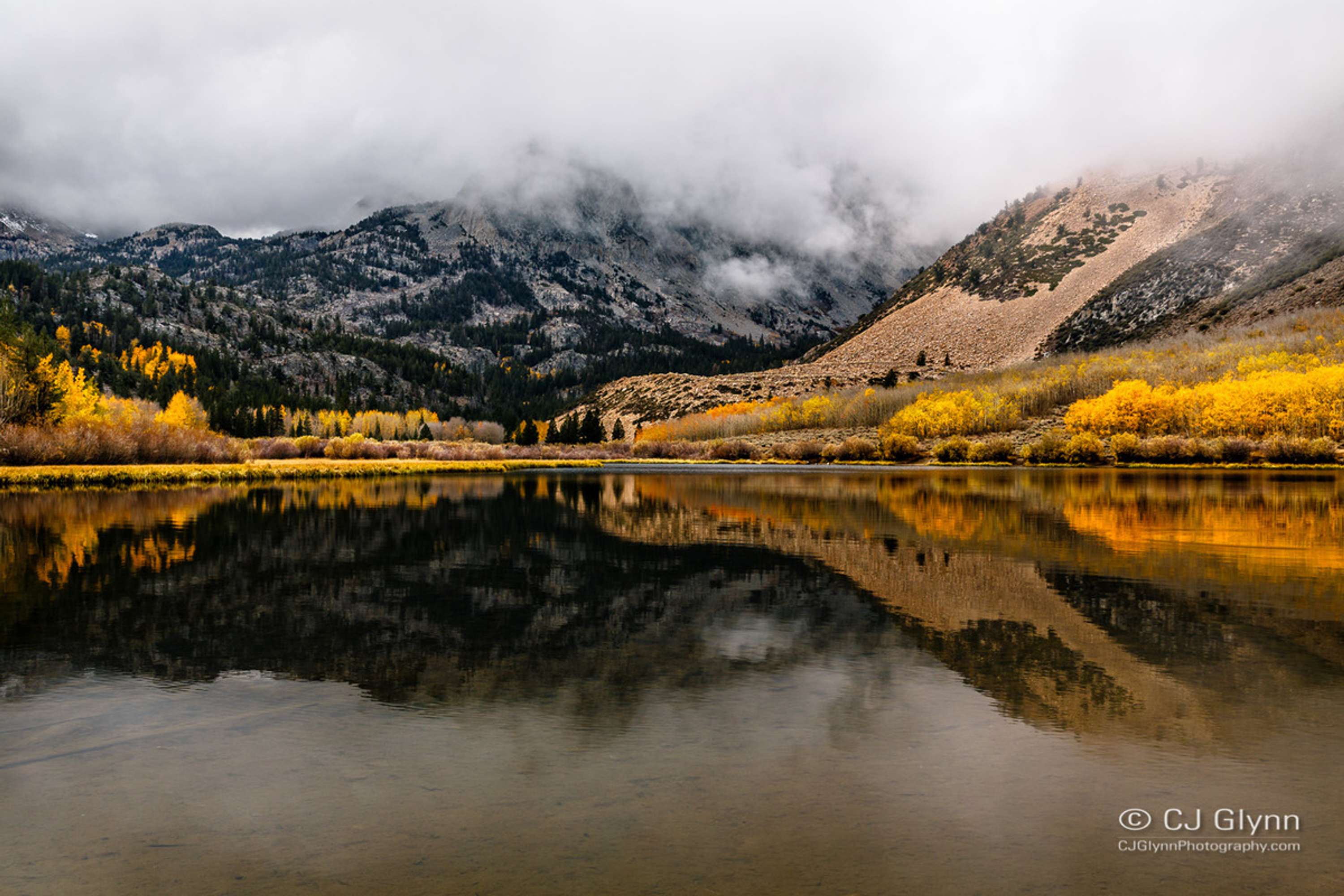 Eastern Sierra Fall Color by CJ Glynn