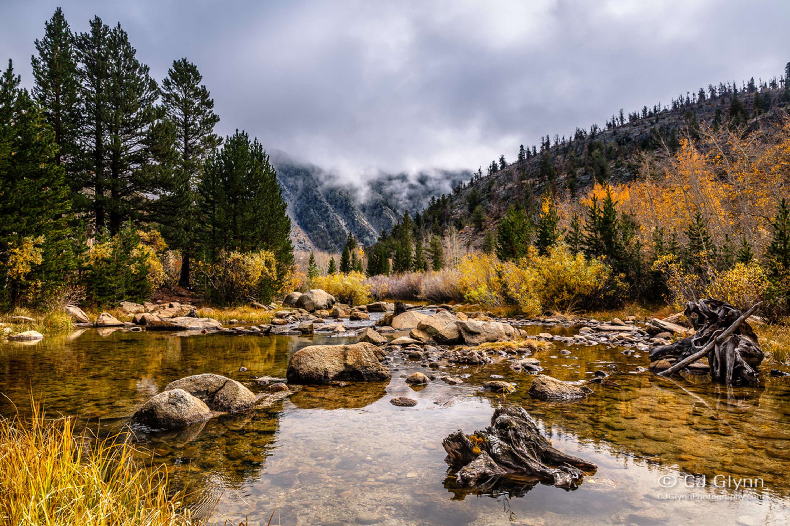 Eastern Sierra Fall Color by CJ Glynn