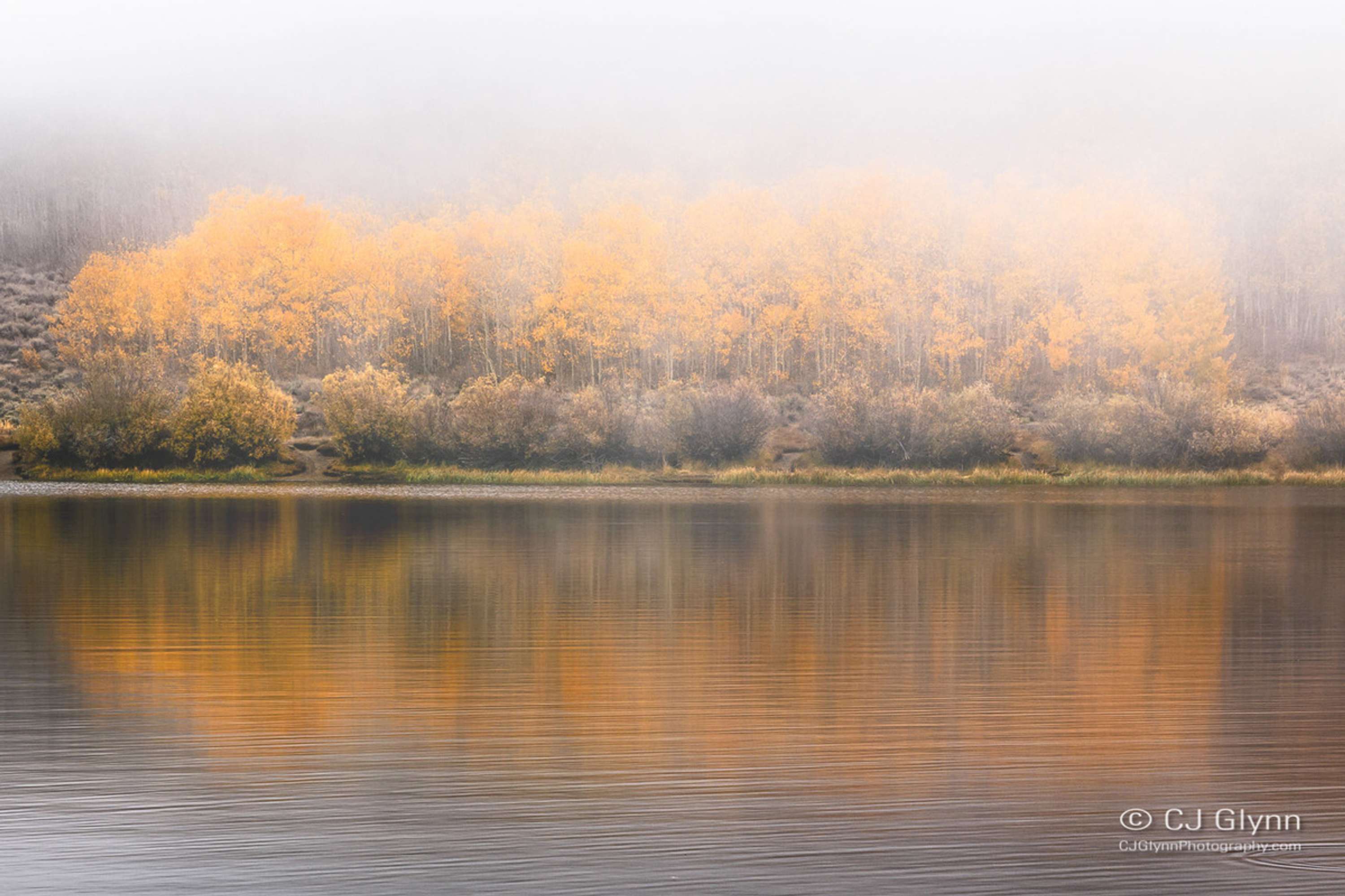 Eastern Sierra Fall Color by CJ Glynn