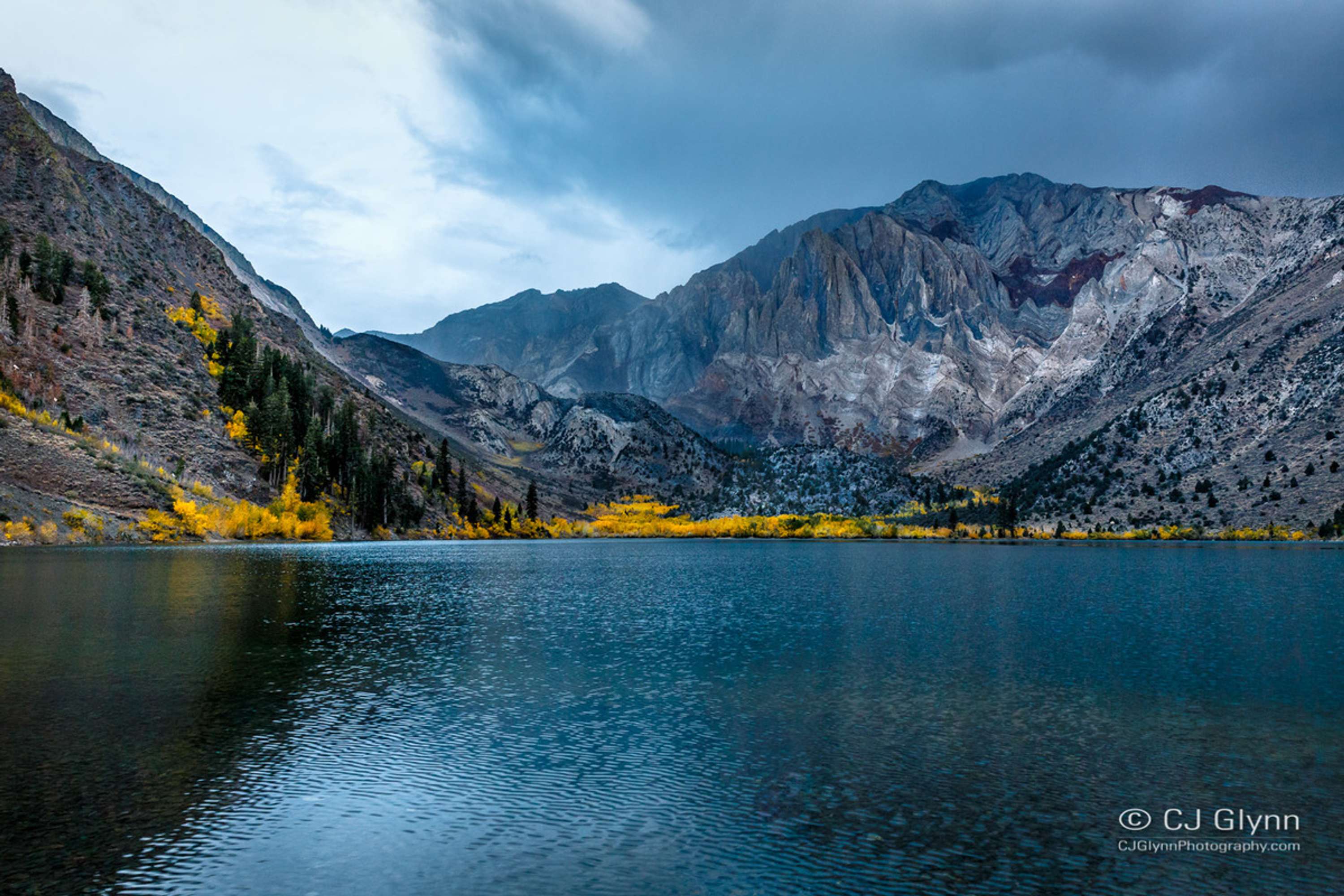Eastern Sierra Fall Color by CJ Glynn