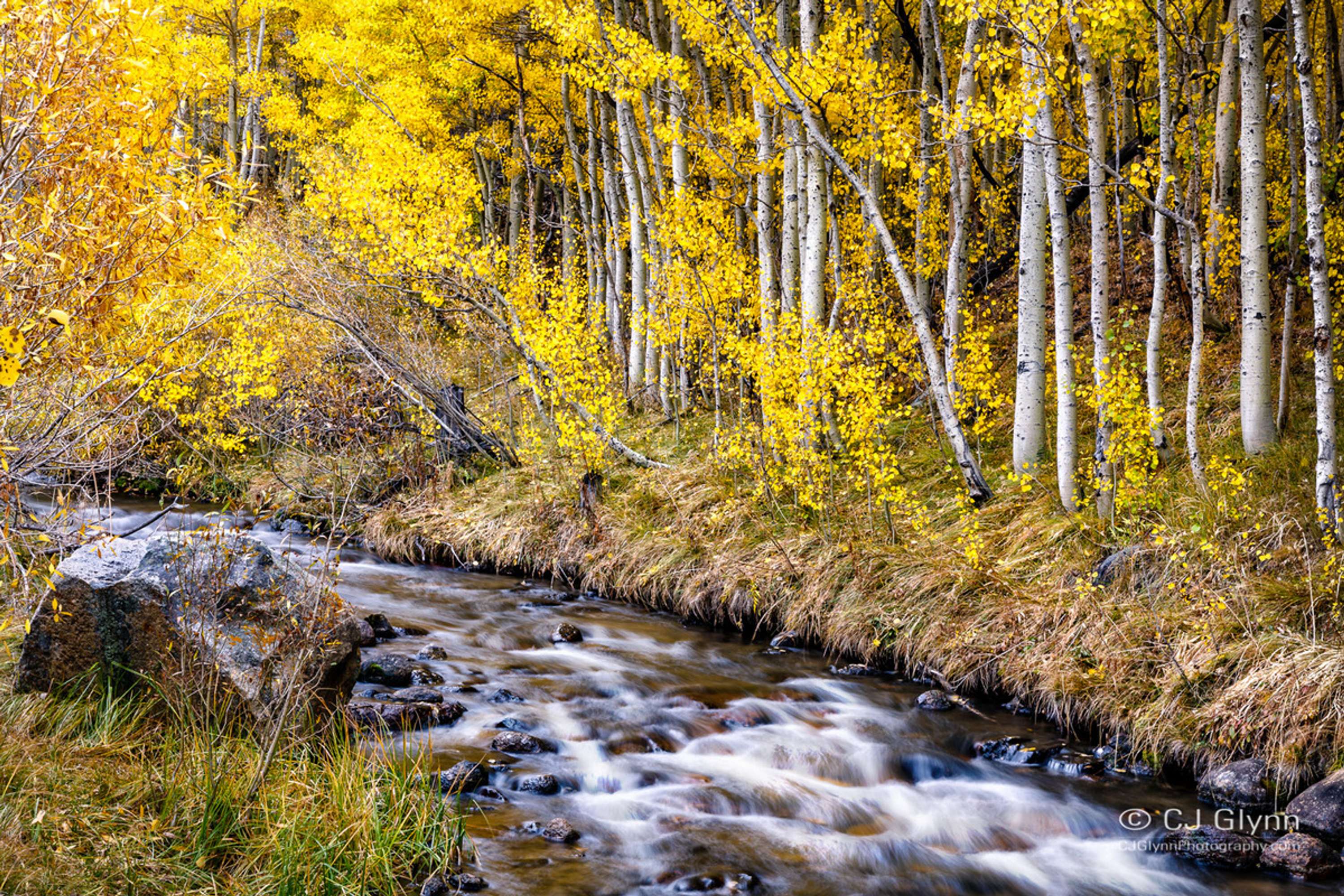 Eastern Sierra Fall Color by CJ Glynn