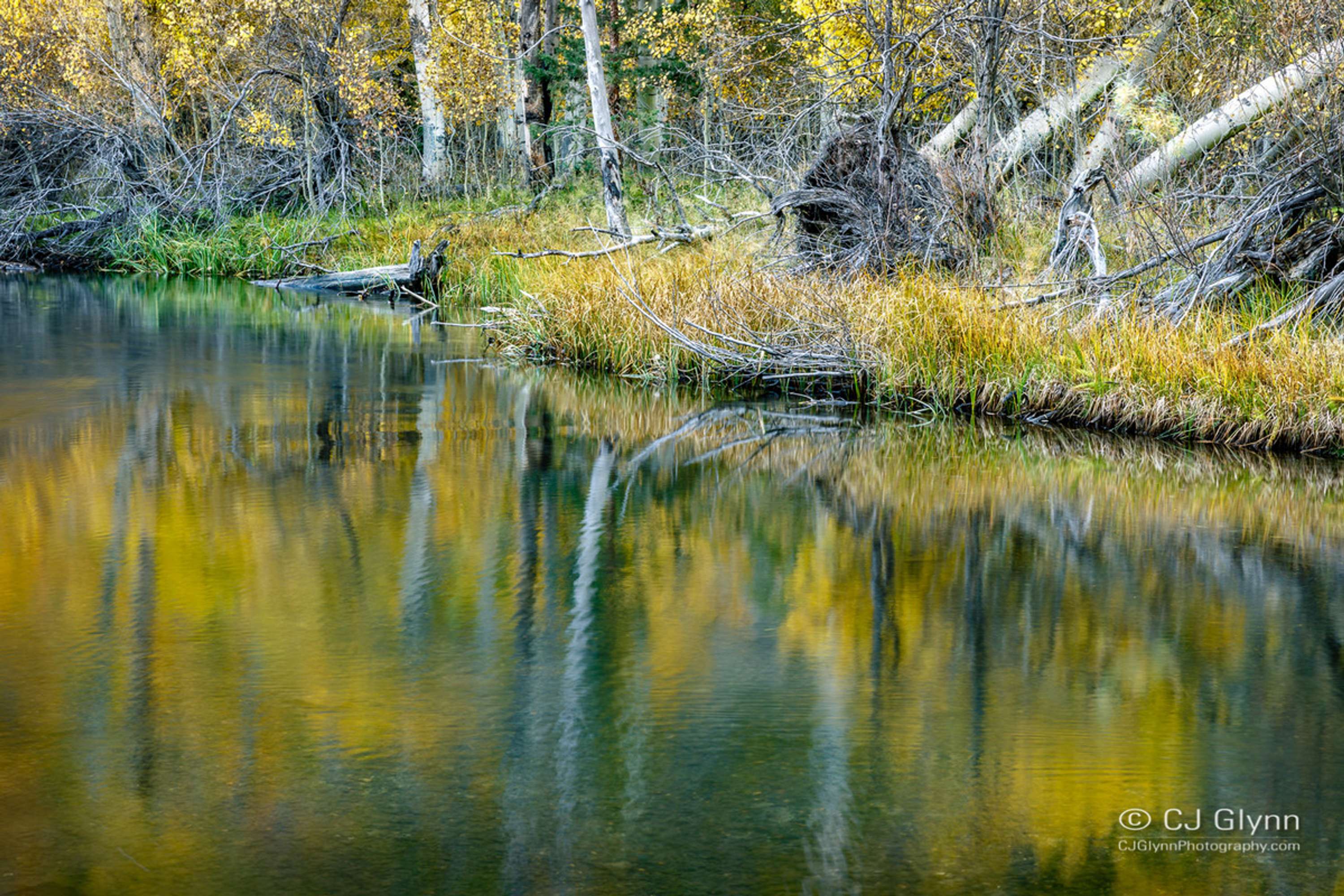 Eastern Sierra Fall Color by CJ Glynn