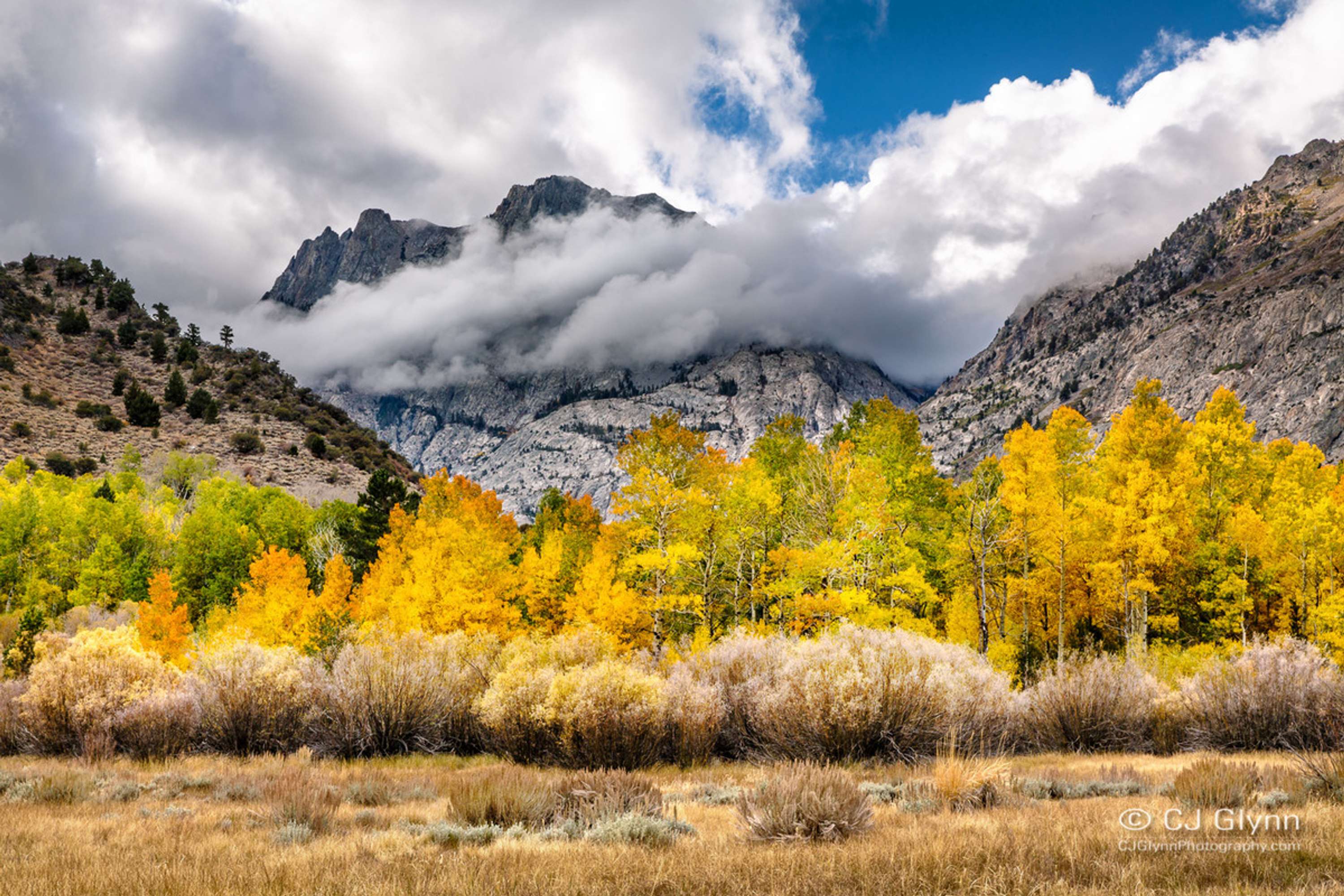 Eastern Sierra Fall Color by CJ Glynn