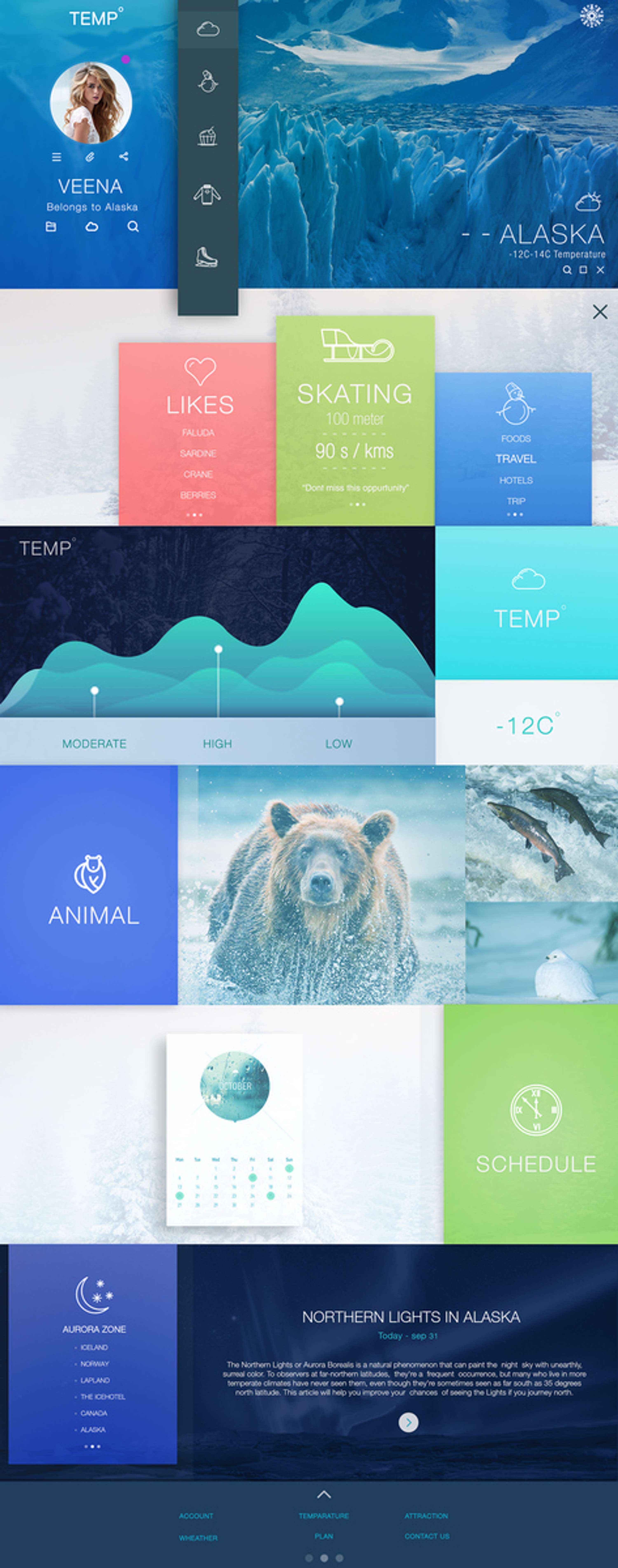 UI-Design-TEMP by Shivashankar s