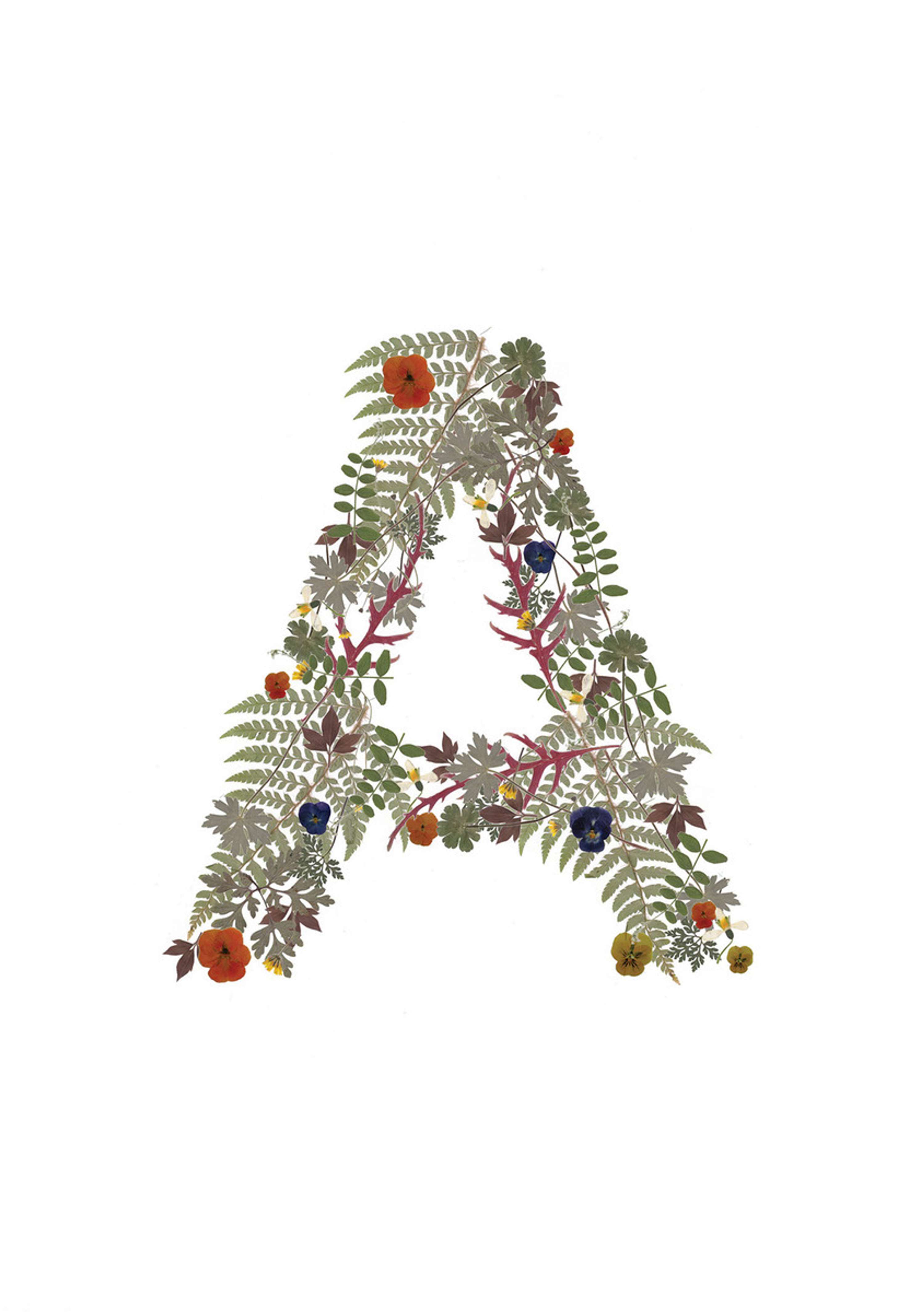 My The Summer Days Last Forever by Annabel Grant