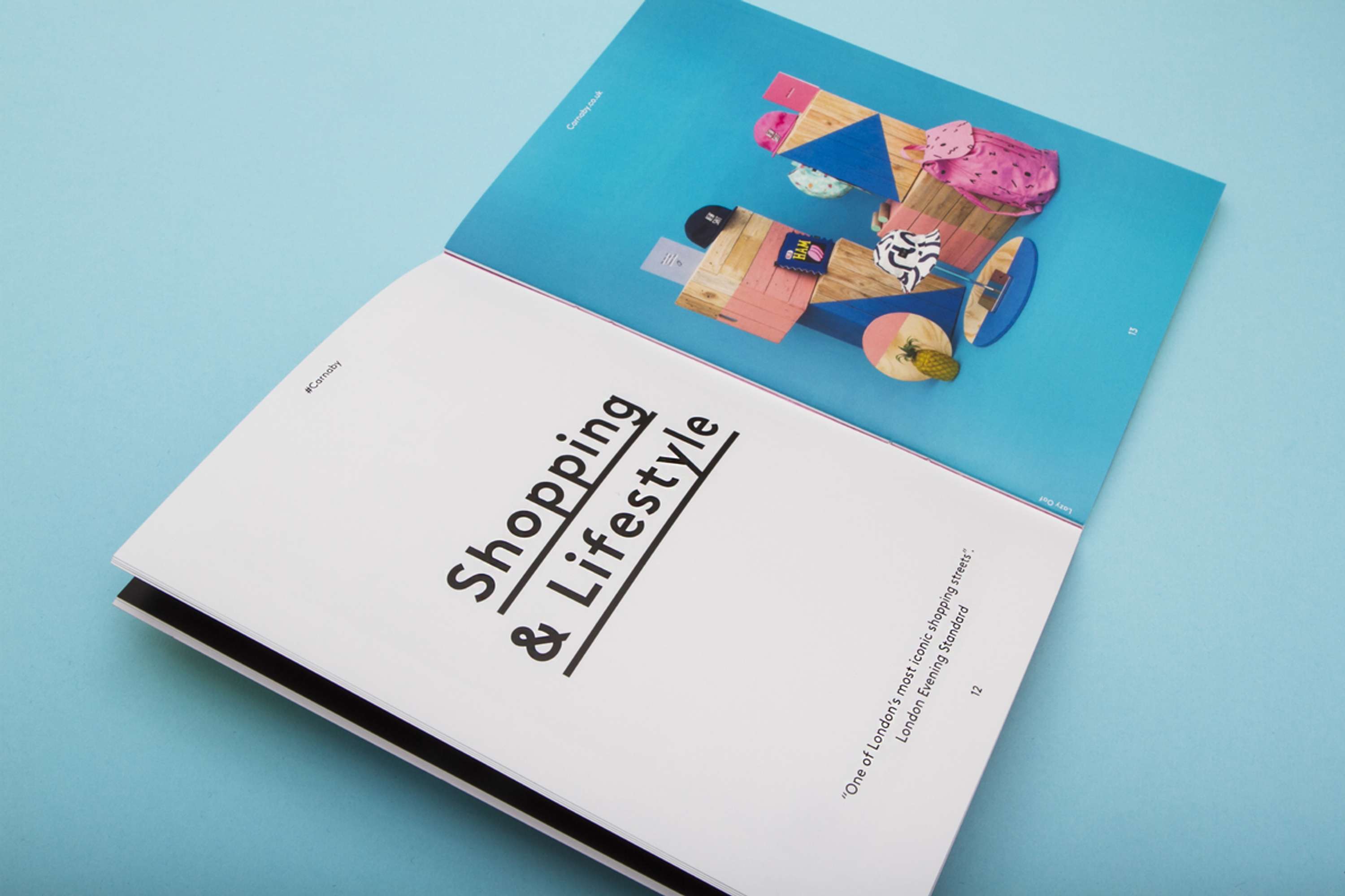 Carnaby Essential Guide by WILLIAM WHITING