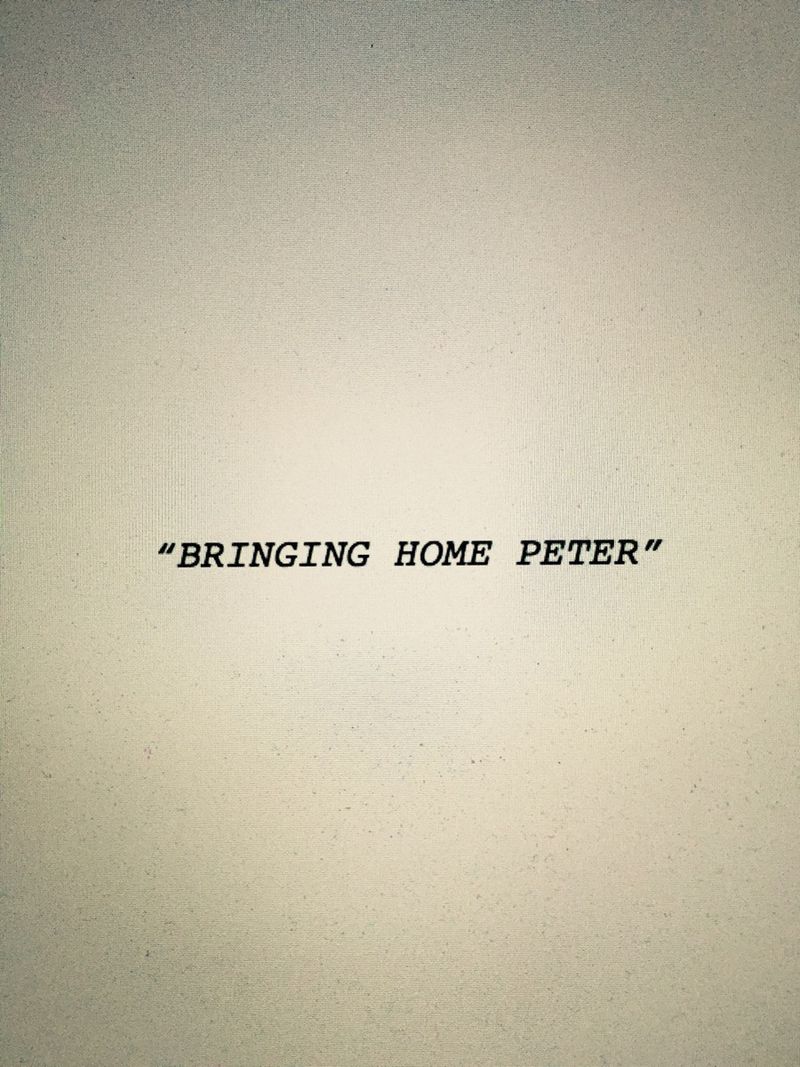 Bringing Home Peter by Melissa Morley
