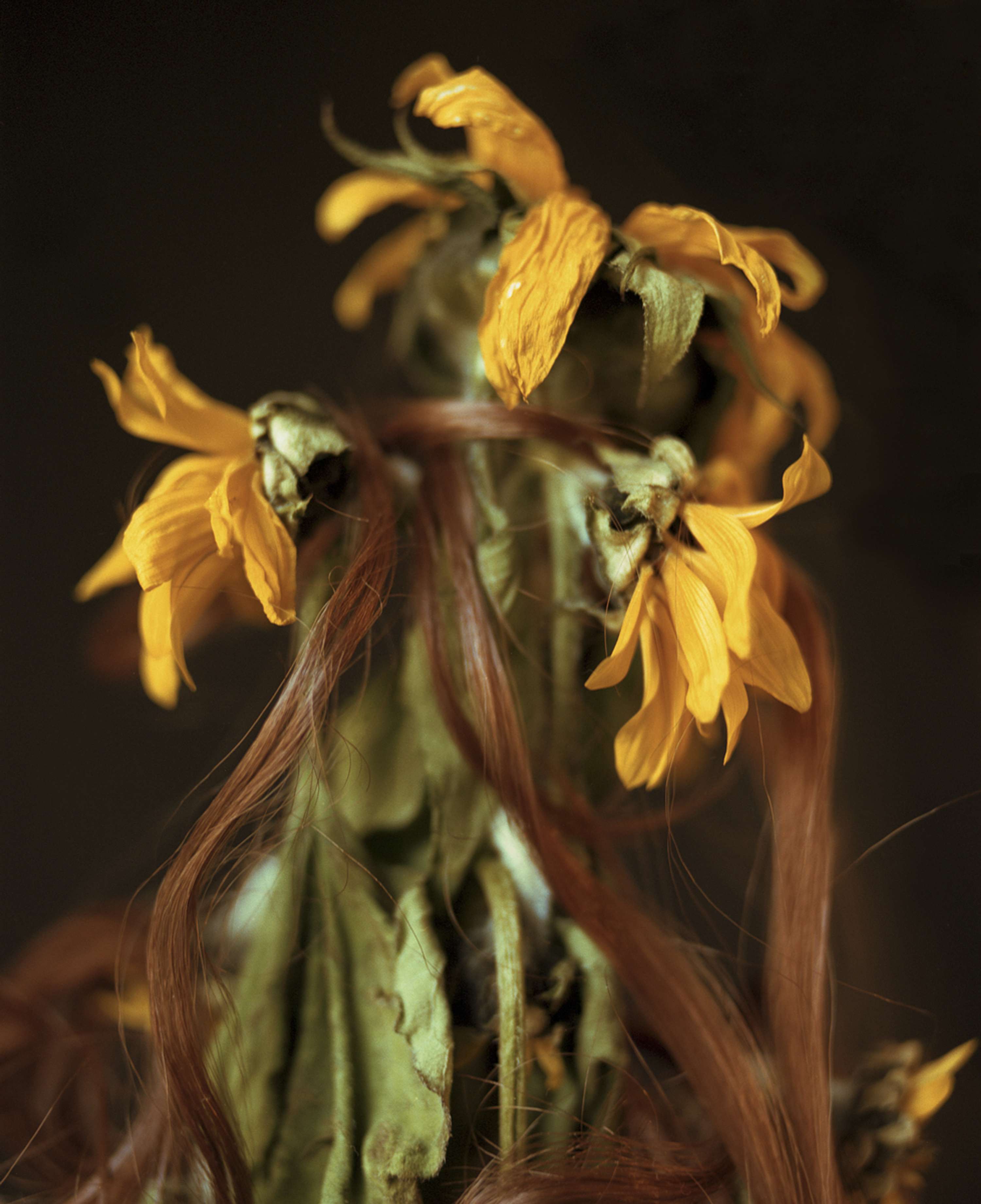 There's Life in it Yet by Andrew Nuding