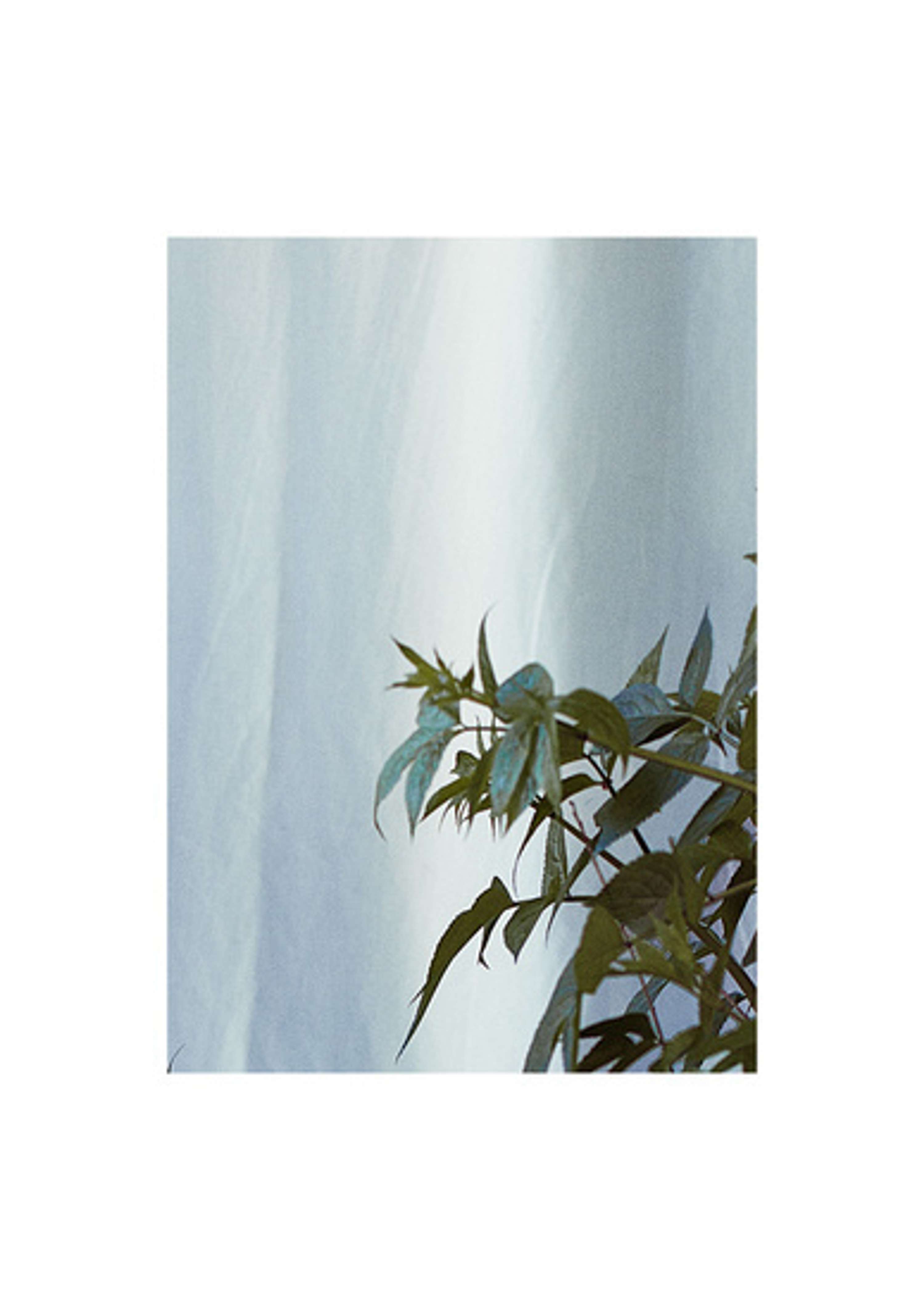 W by Eivind Hansen