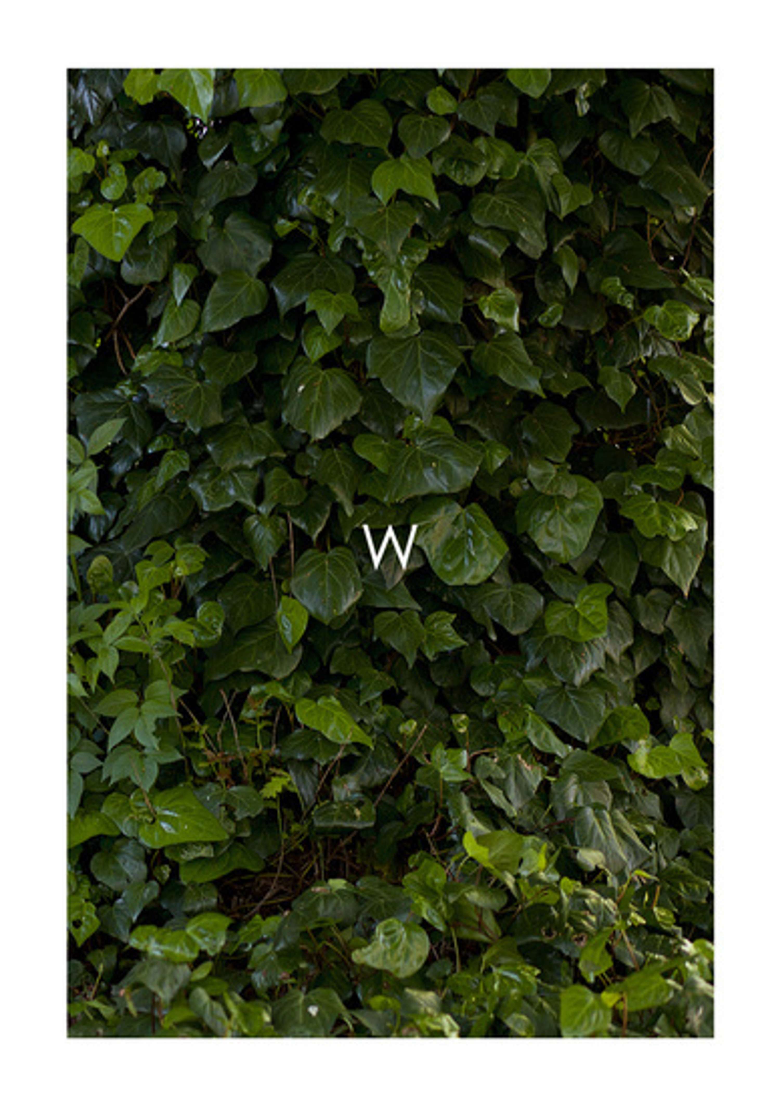 W by Eivind Hansen