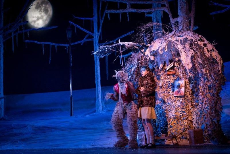 The Lion the Witch and The Wardrobe by Rosheen McNamee